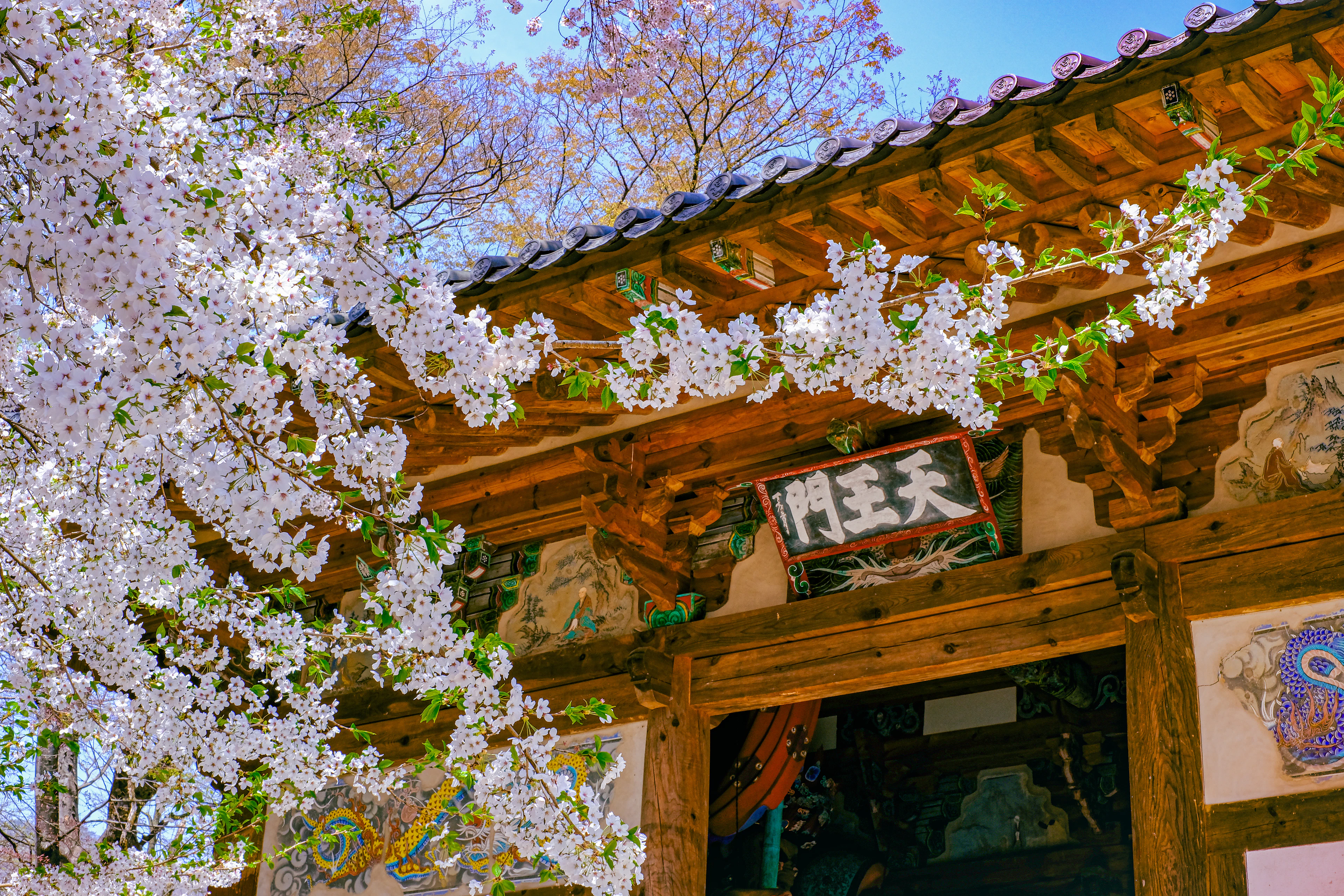 South Korea — photo 2