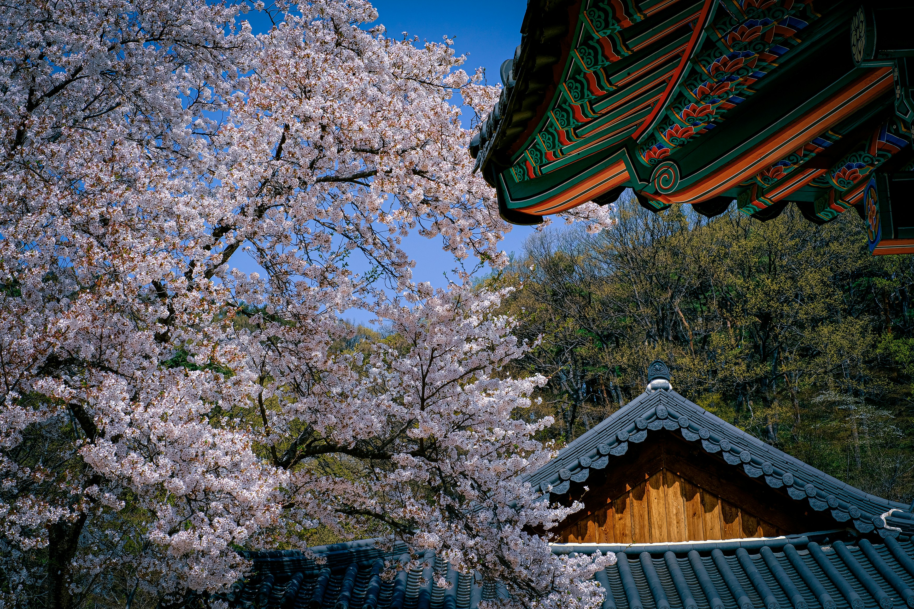 Photo by finn_staygold