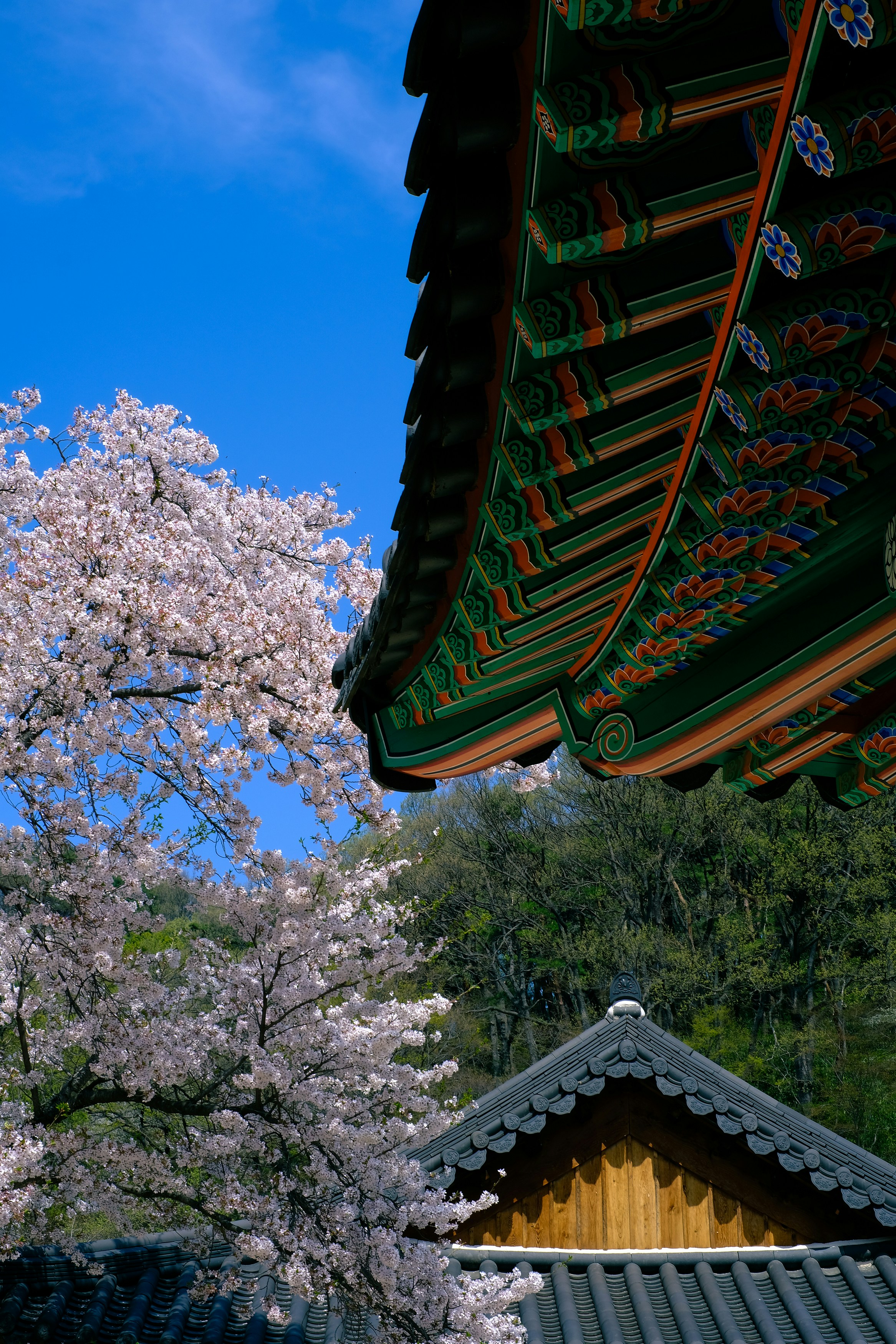 Photo by finn_staygold