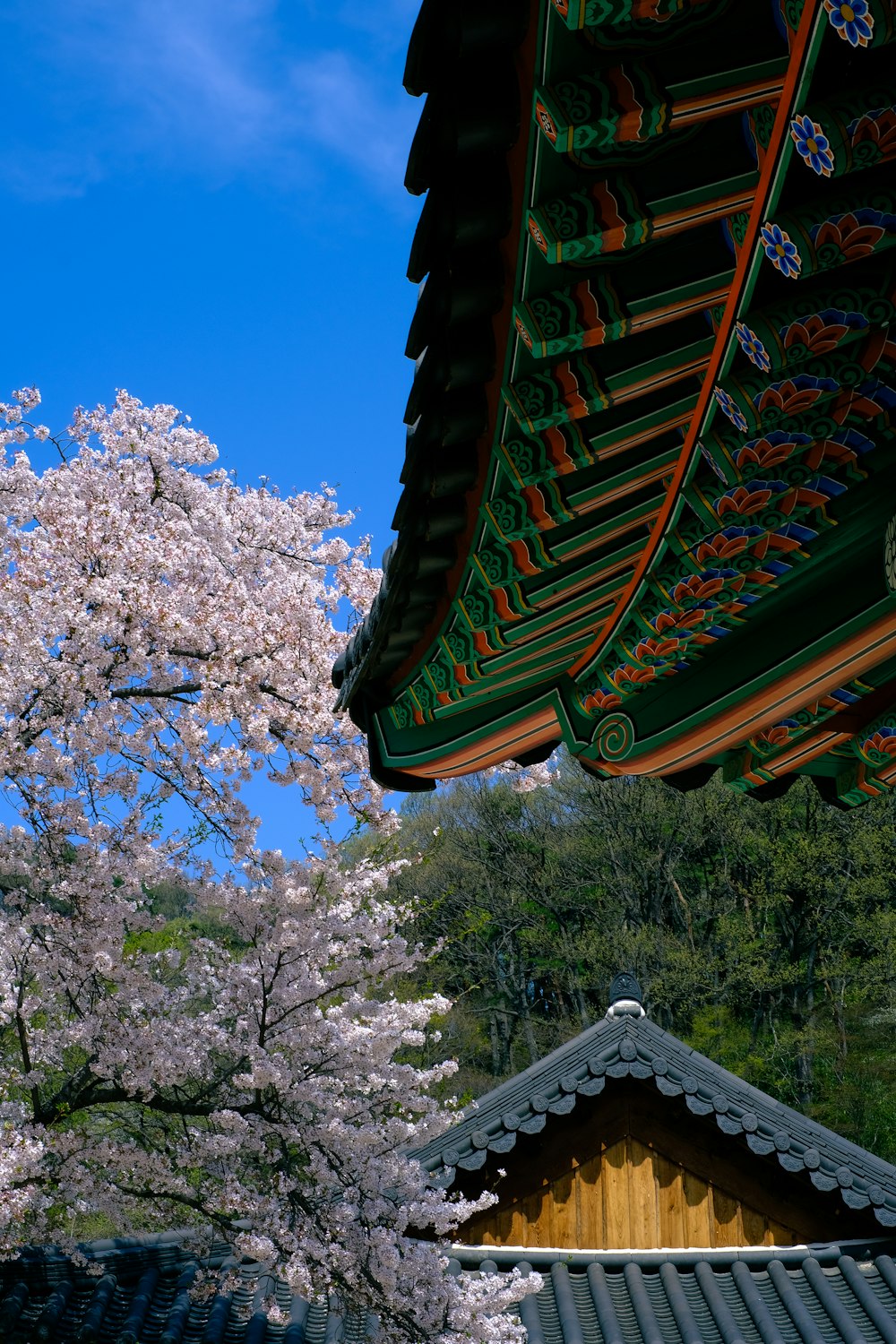 a view of a building with a tree in the background