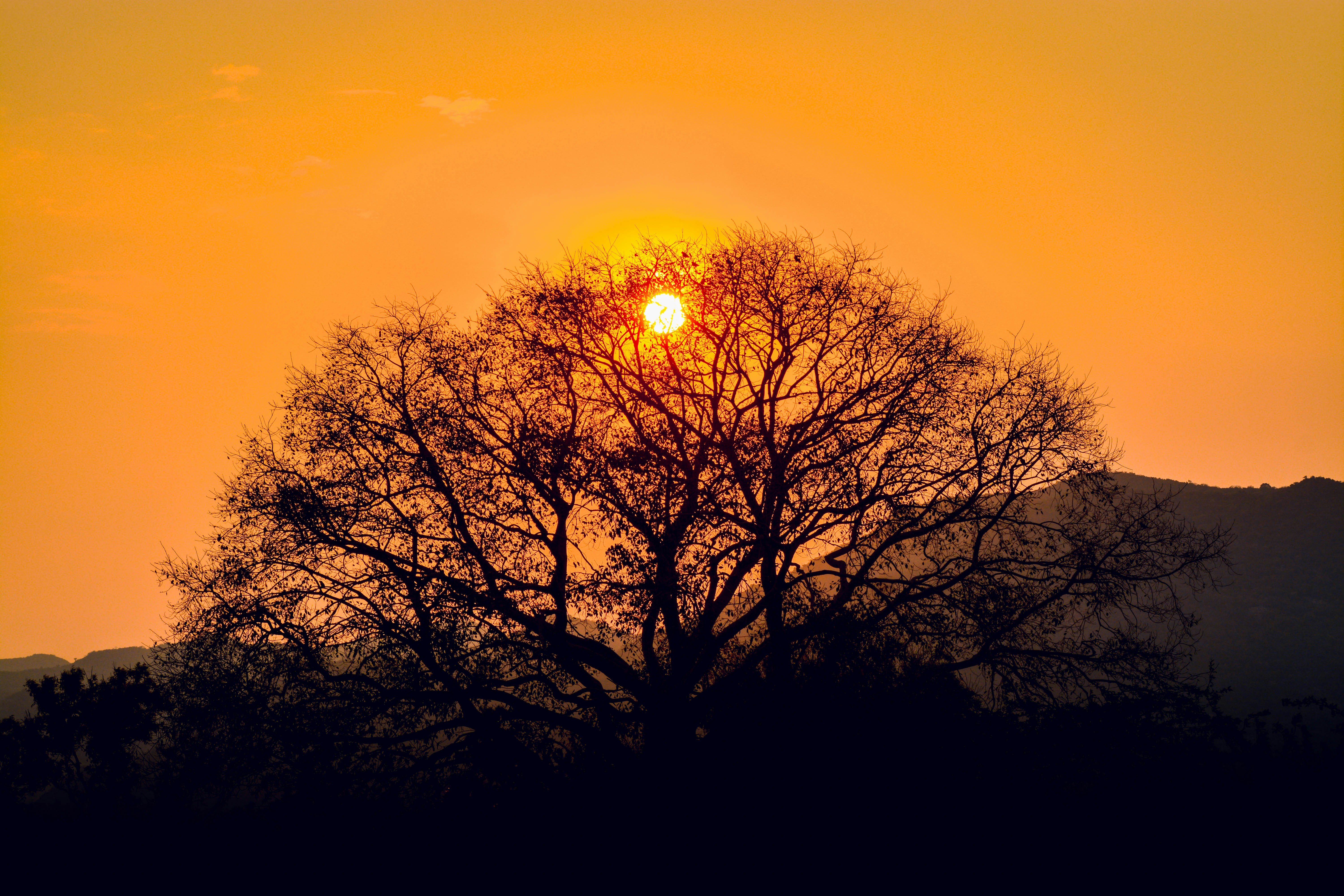 Photo by navi_photography