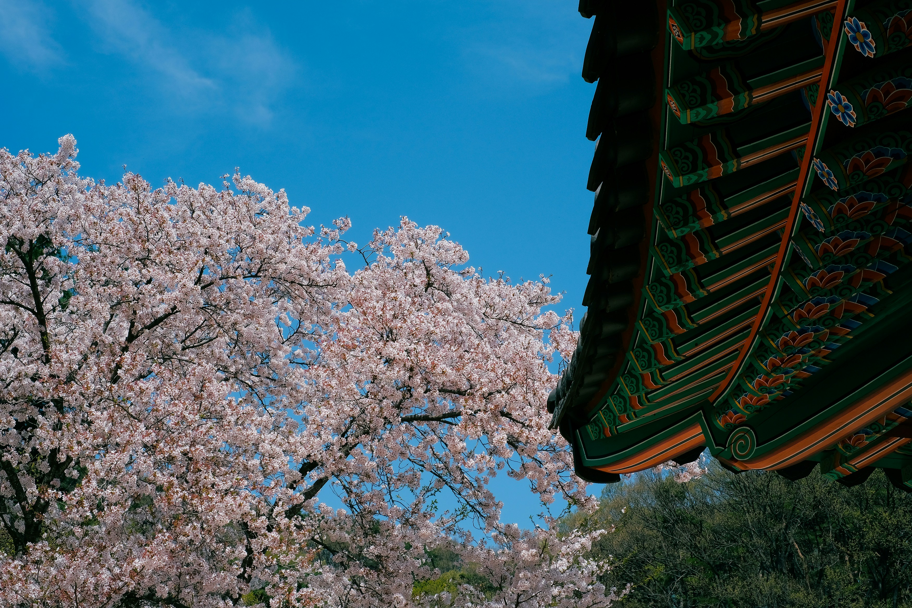 Photo by finn_staygold