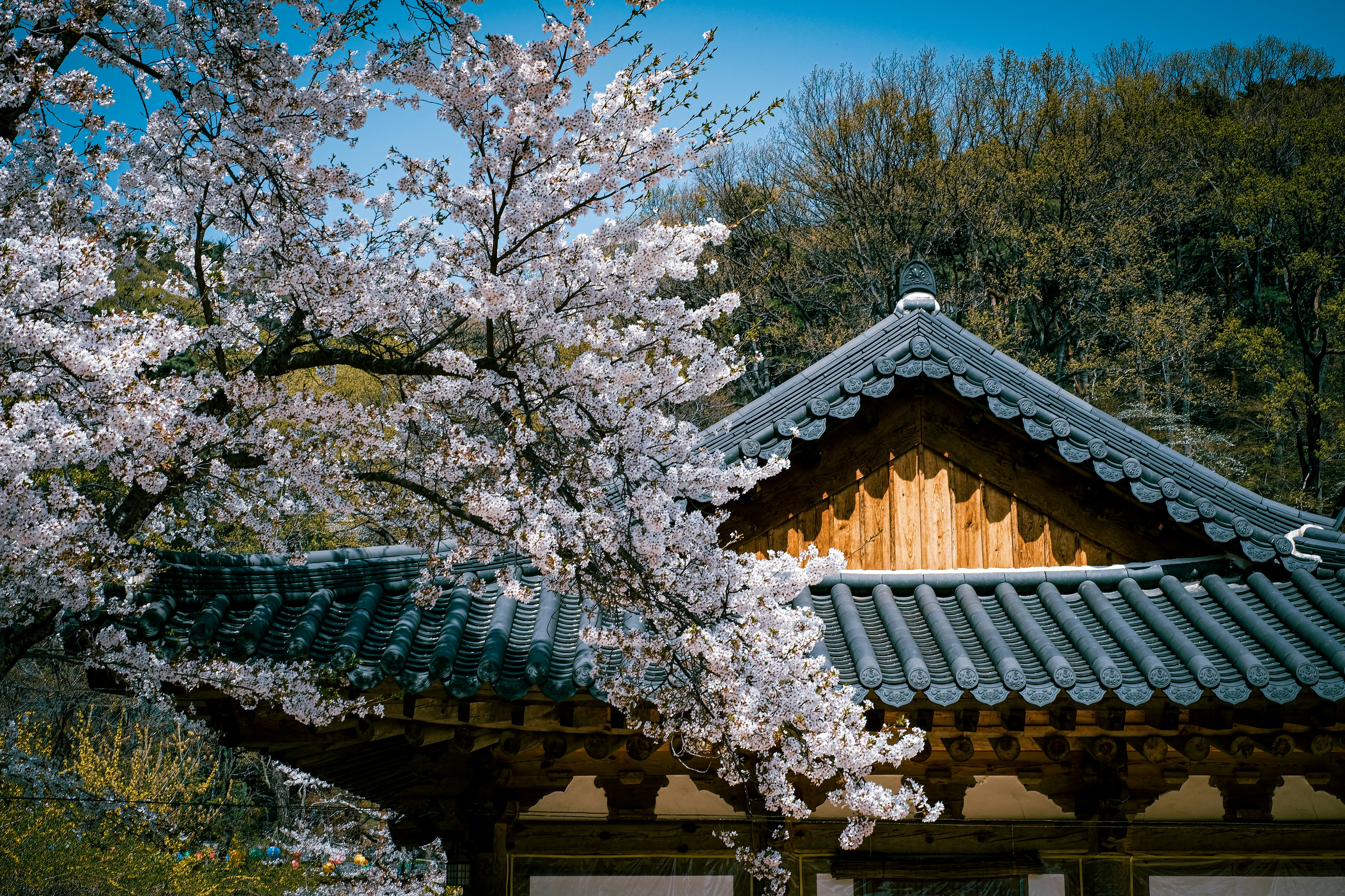 Photo by finn_staygold