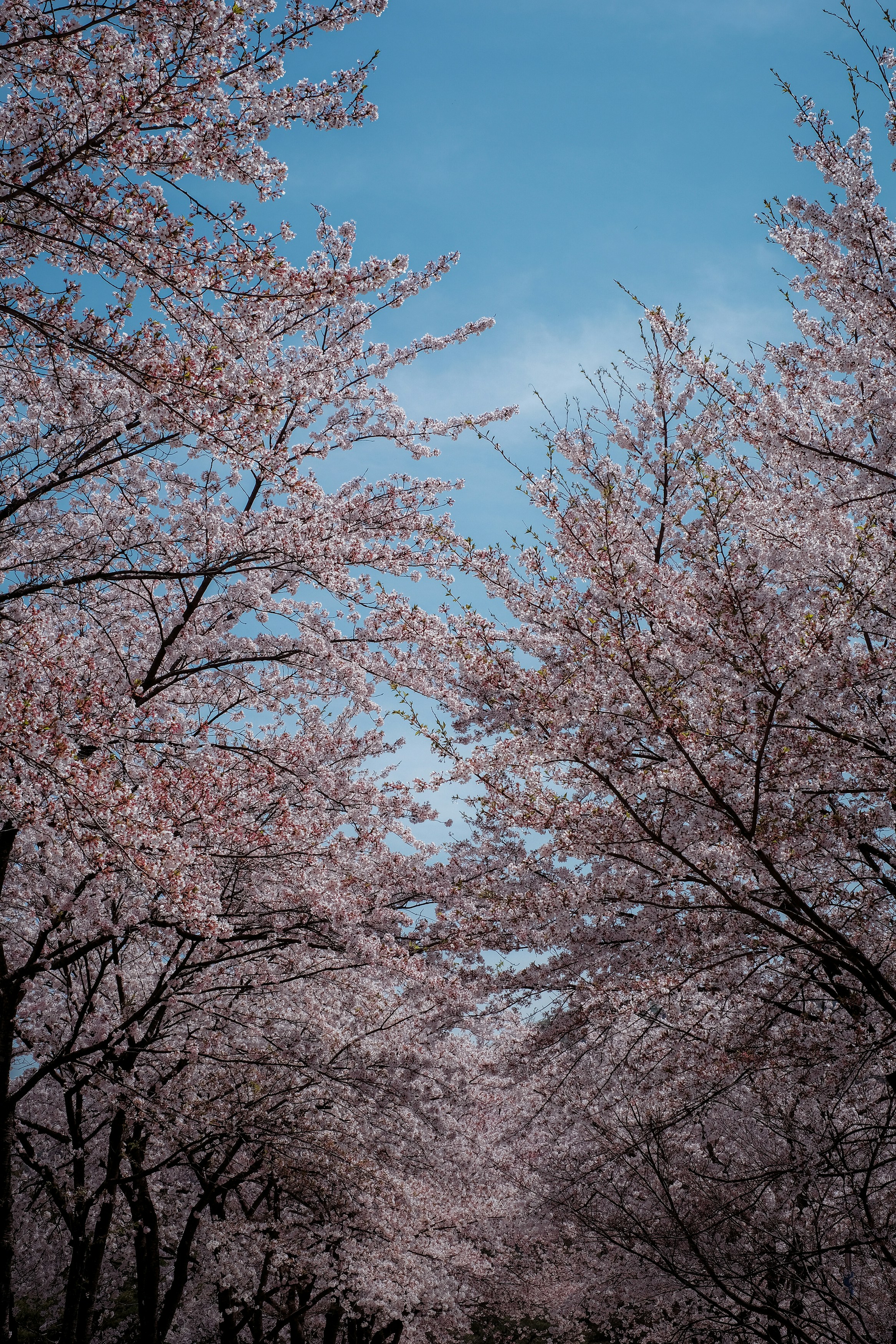 Photo by finn_staygold