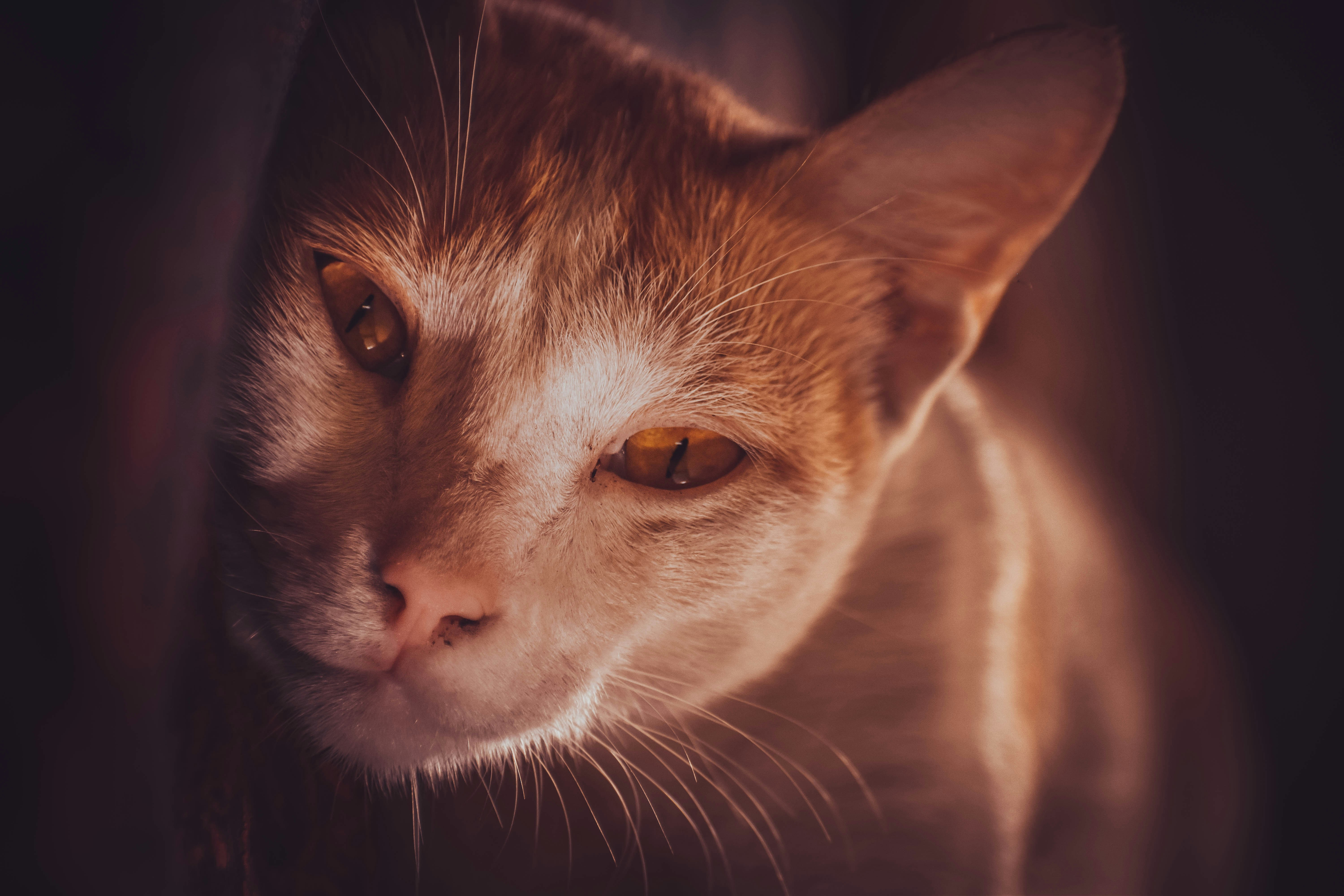 Photo by navi_photography