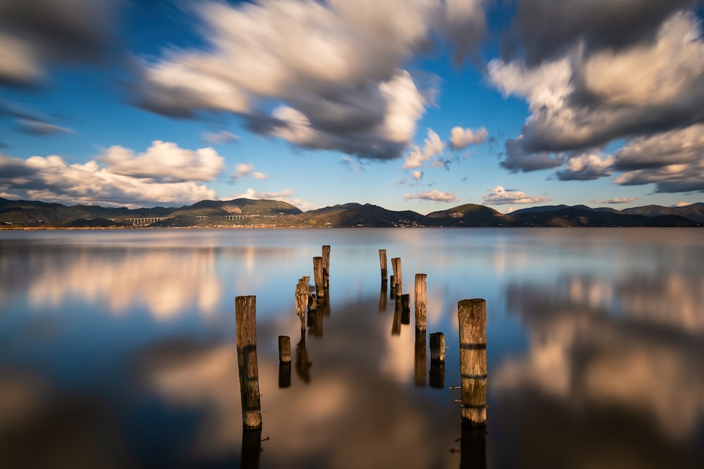 a body of water with a bunch of poles sticking out of it