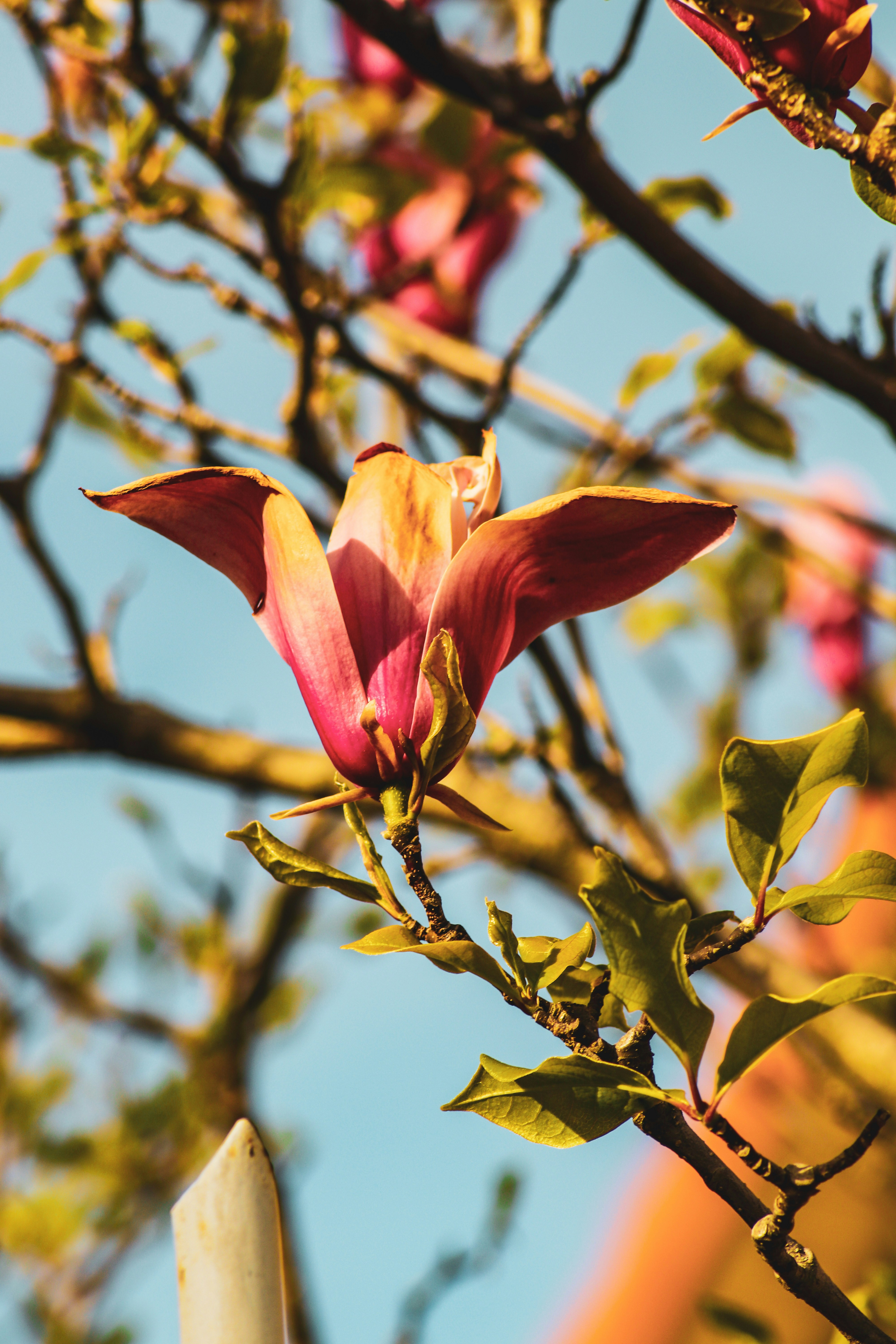 Photo by alix_guerin