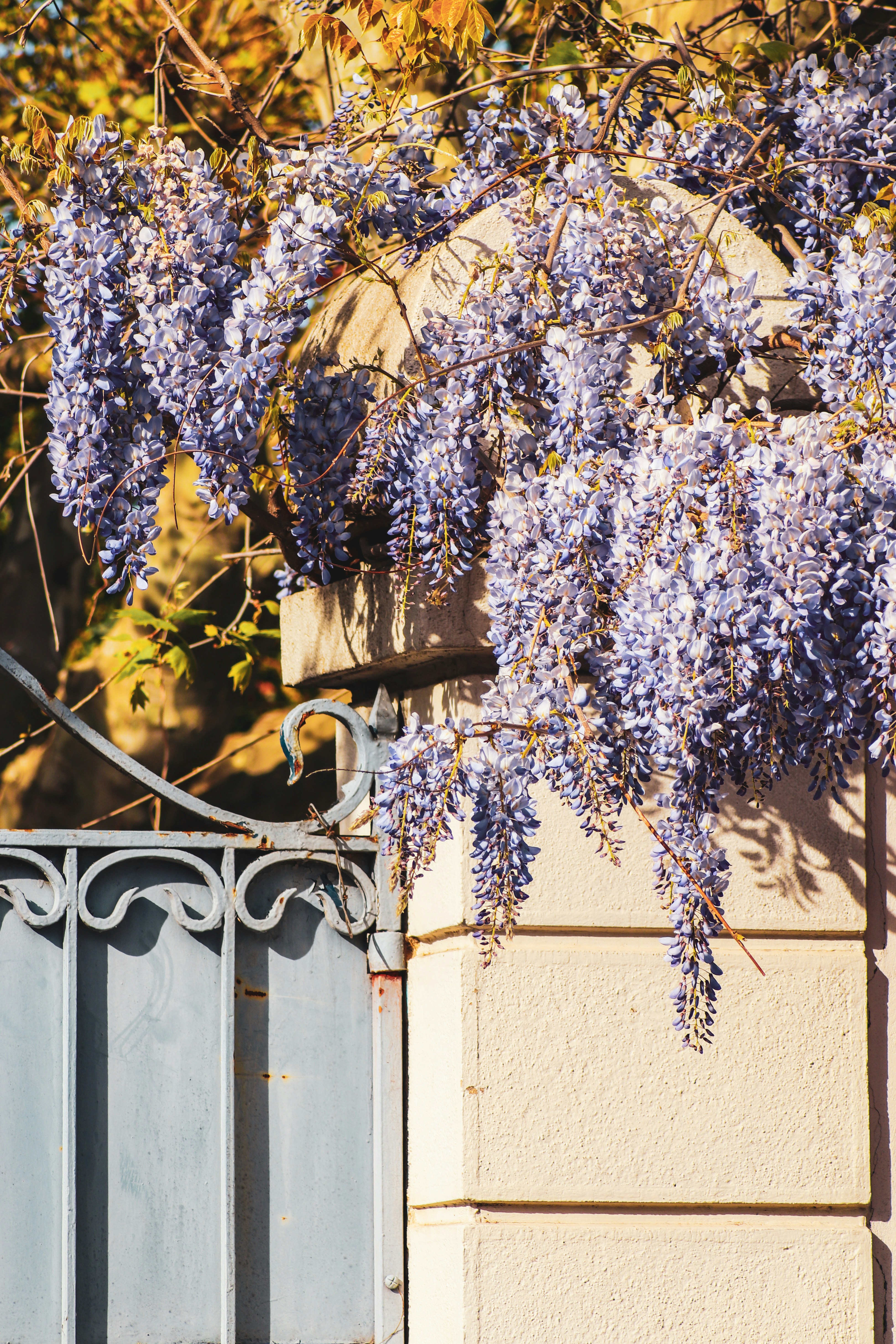 Photo by alix_guerin