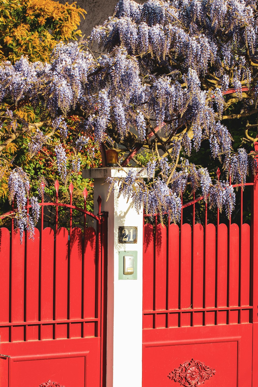 a red fence with purple flowers on it