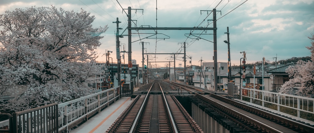 a view of a train track with trees in the background