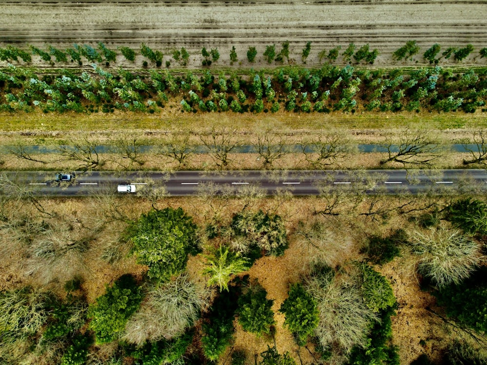 an aerial view of a road surrounded by trees