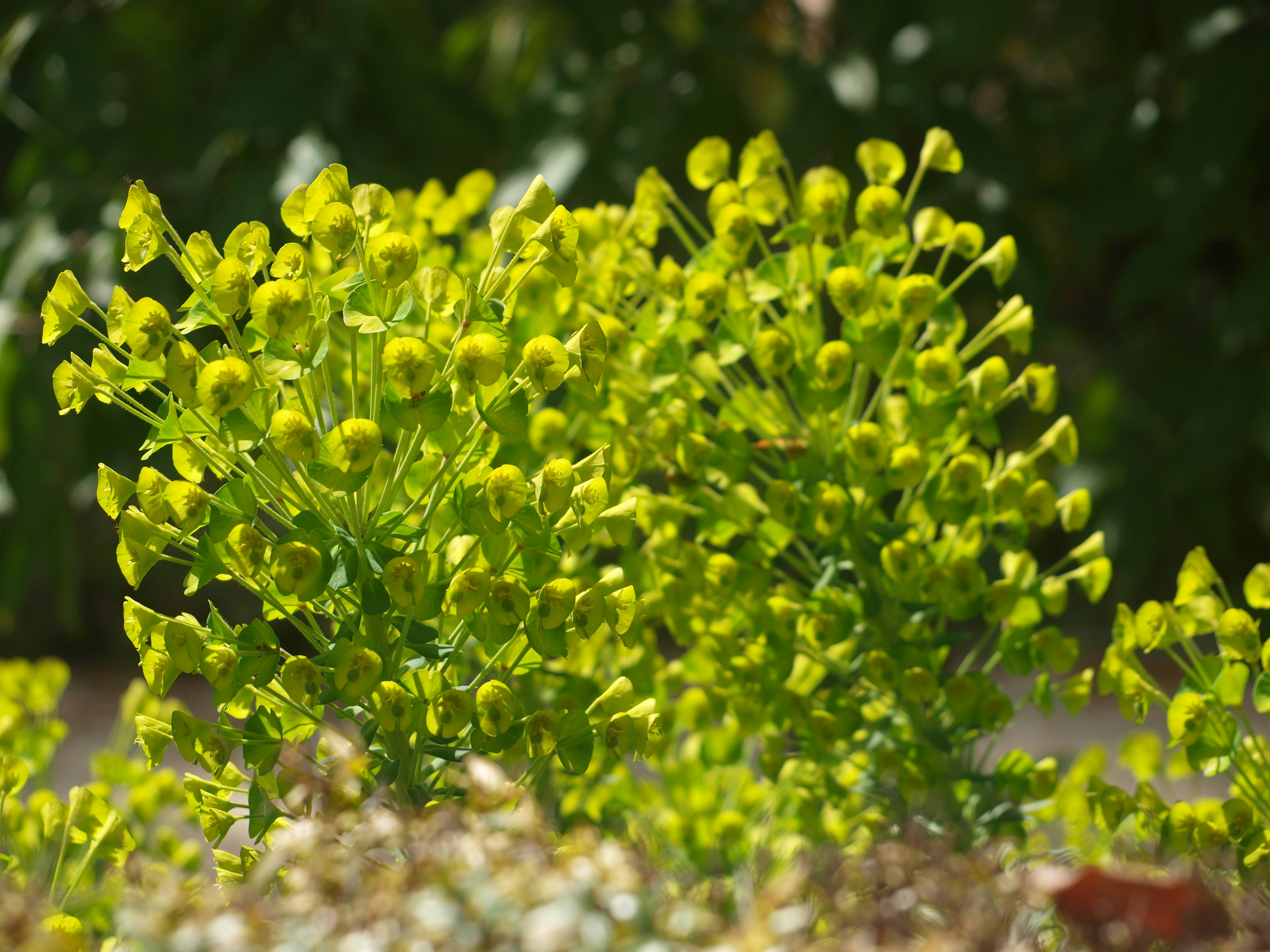 Photo by annakurasova