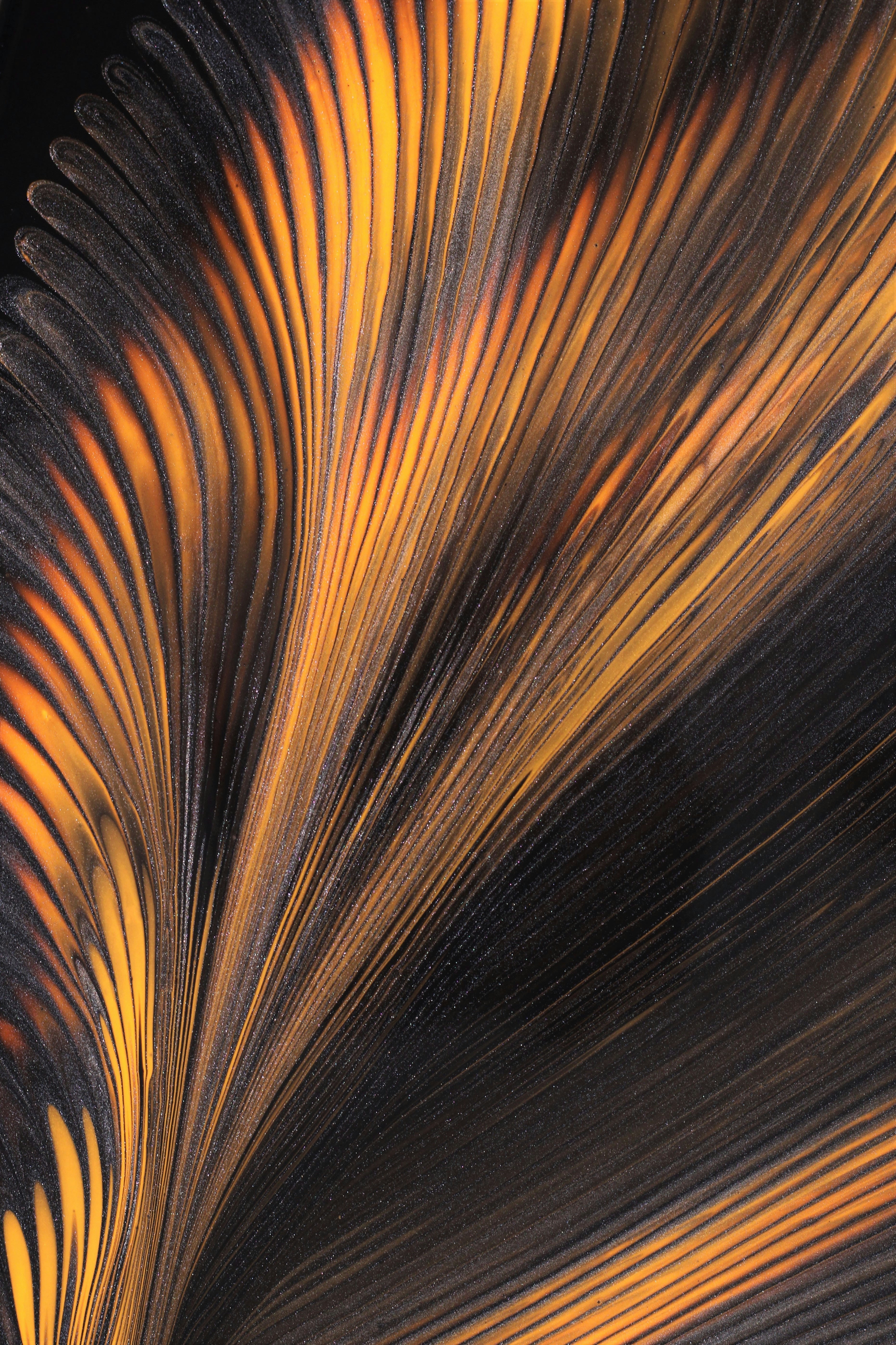 Photo by susan_wilkinson