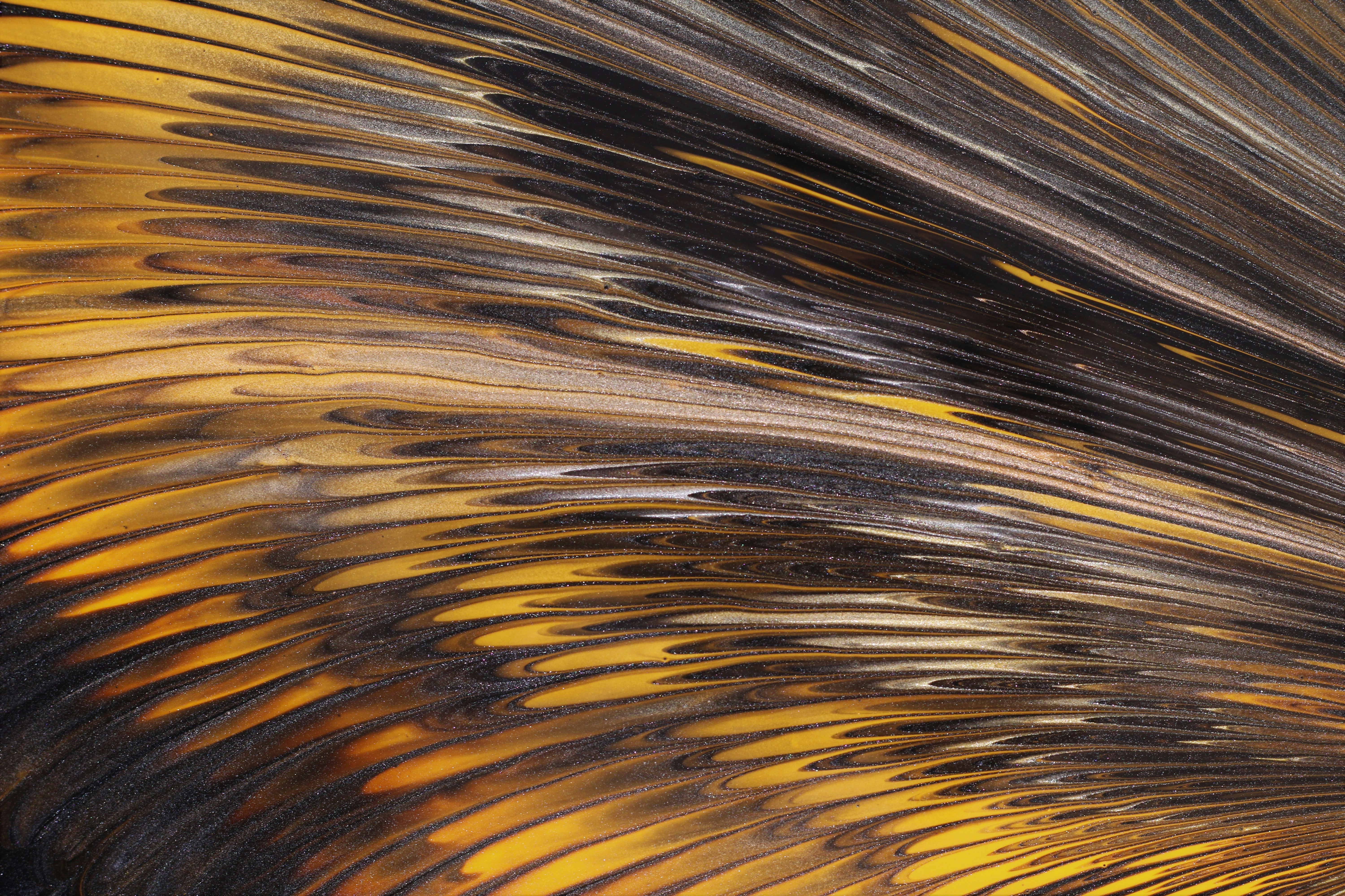 Photo by susan_wilkinson