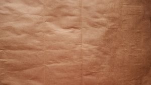 [Artwork Title] II