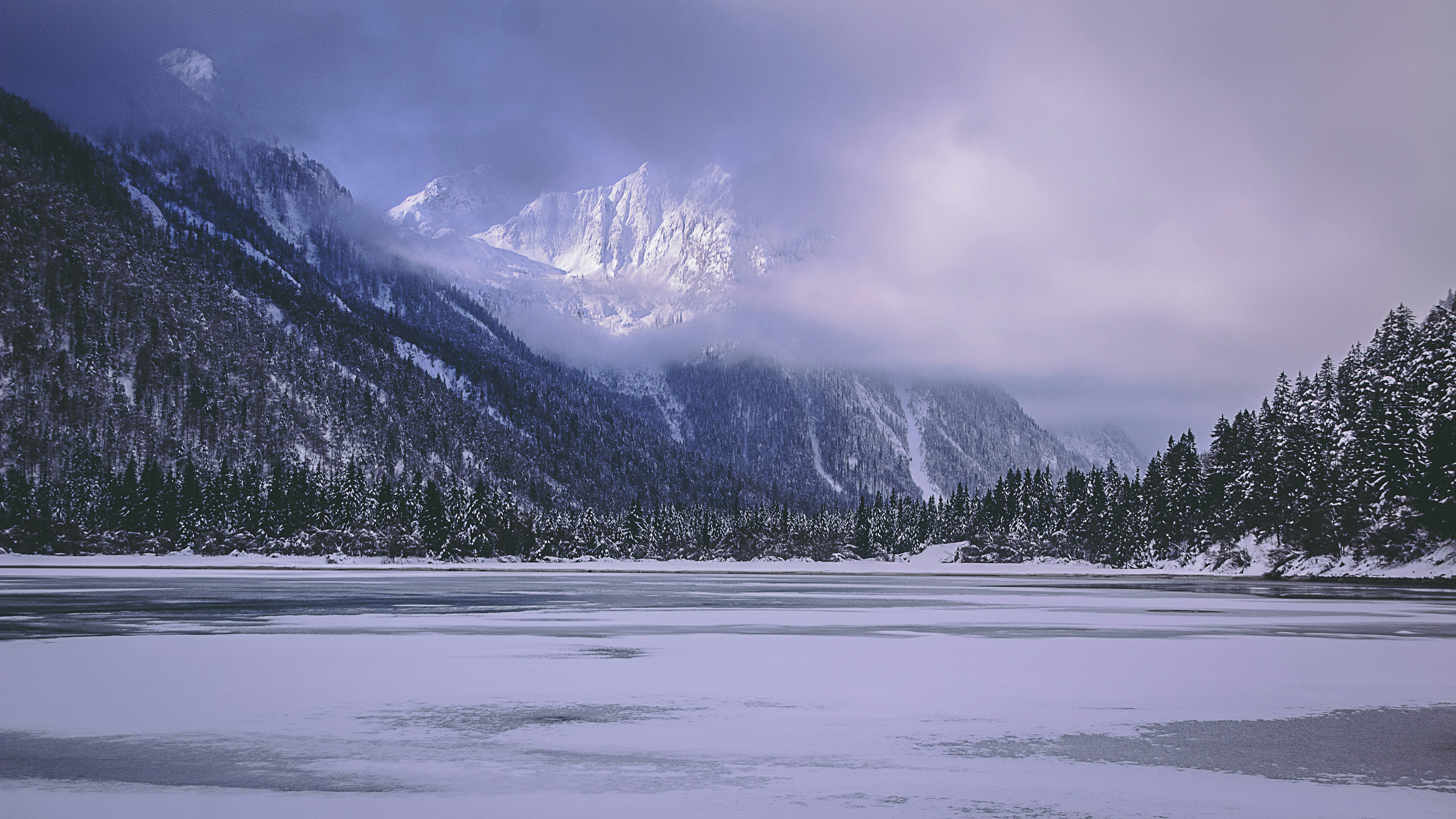 Photo by merlin_photo