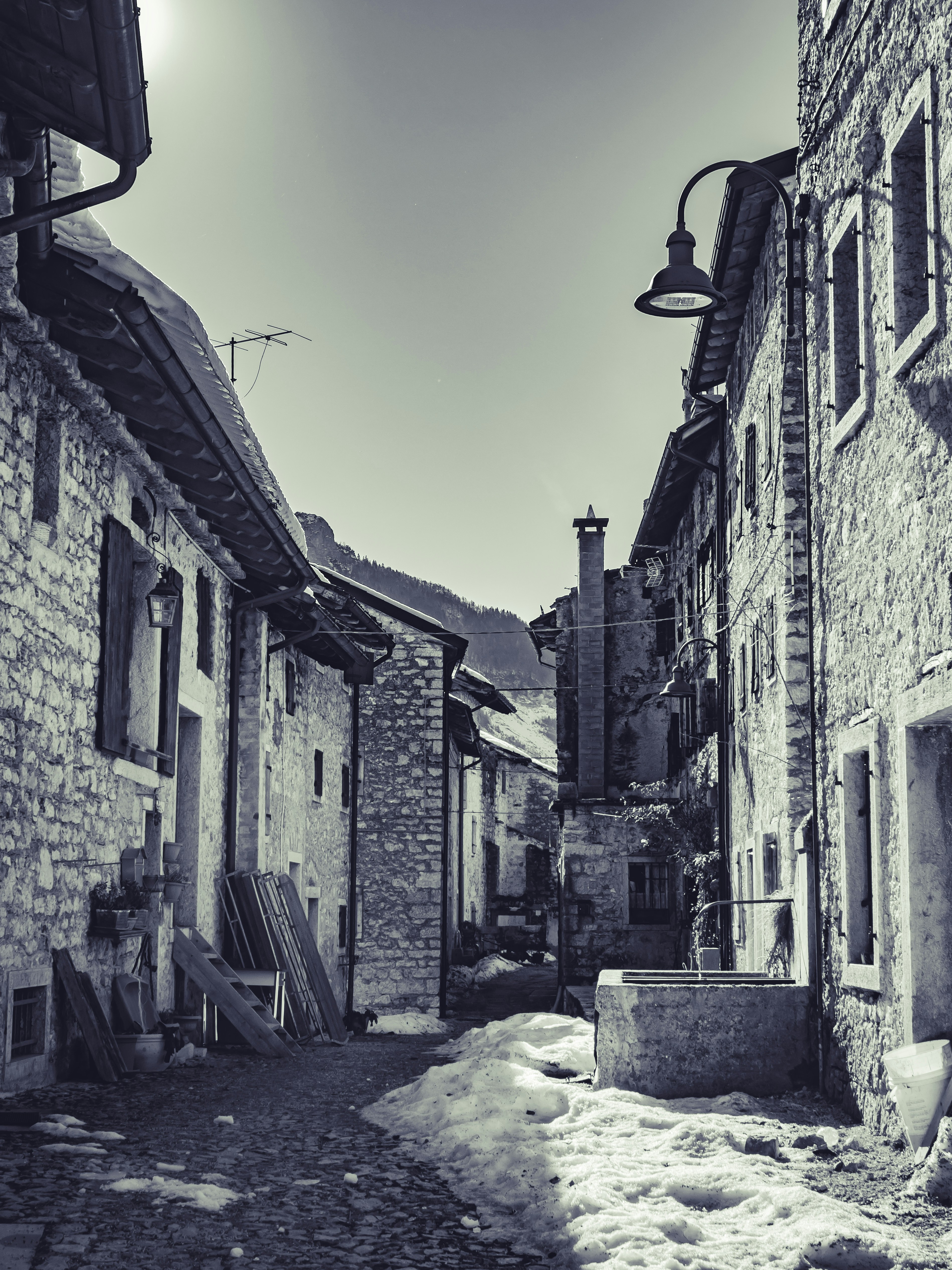 Photo by merlin_photo