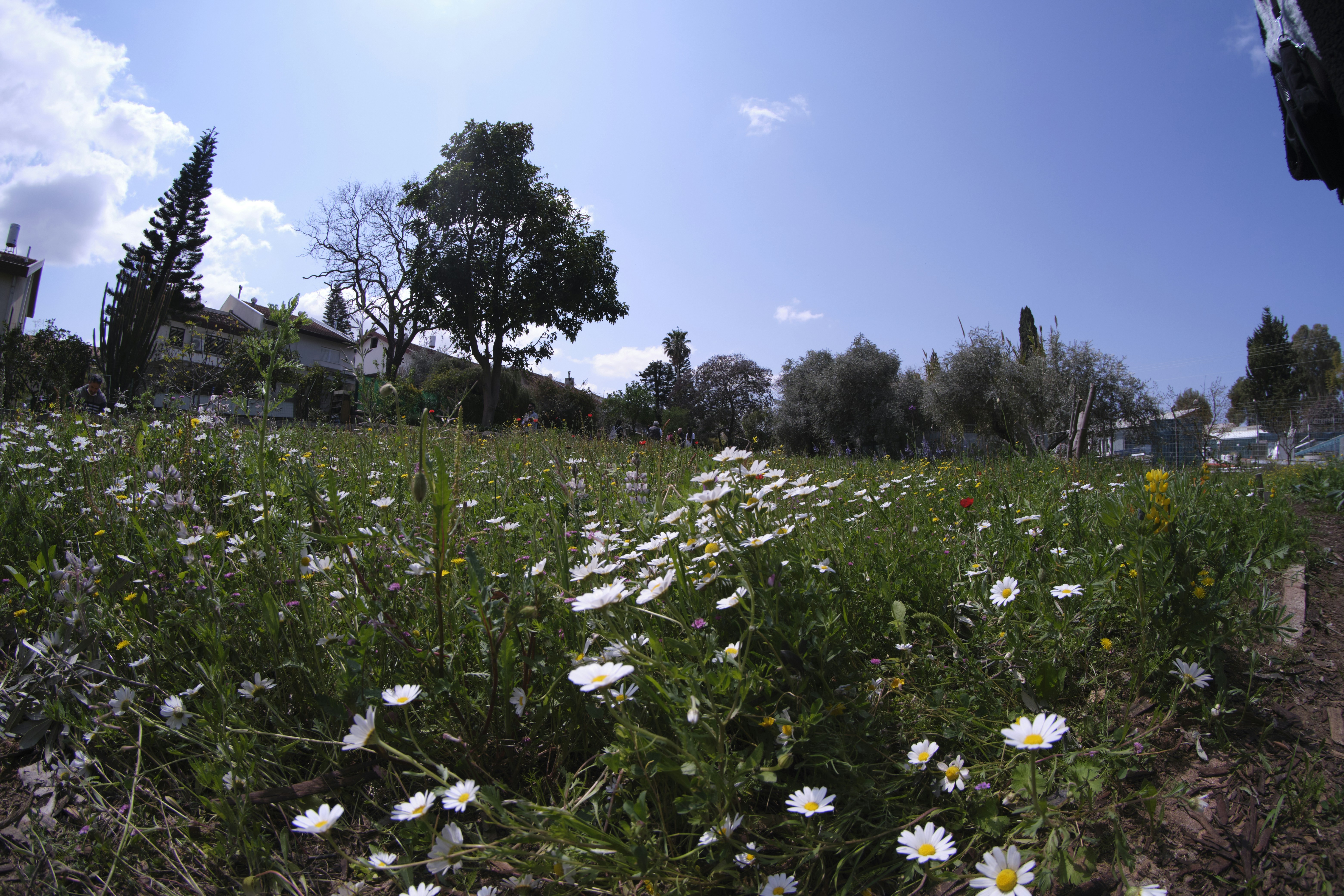 Reserva tu experiencia