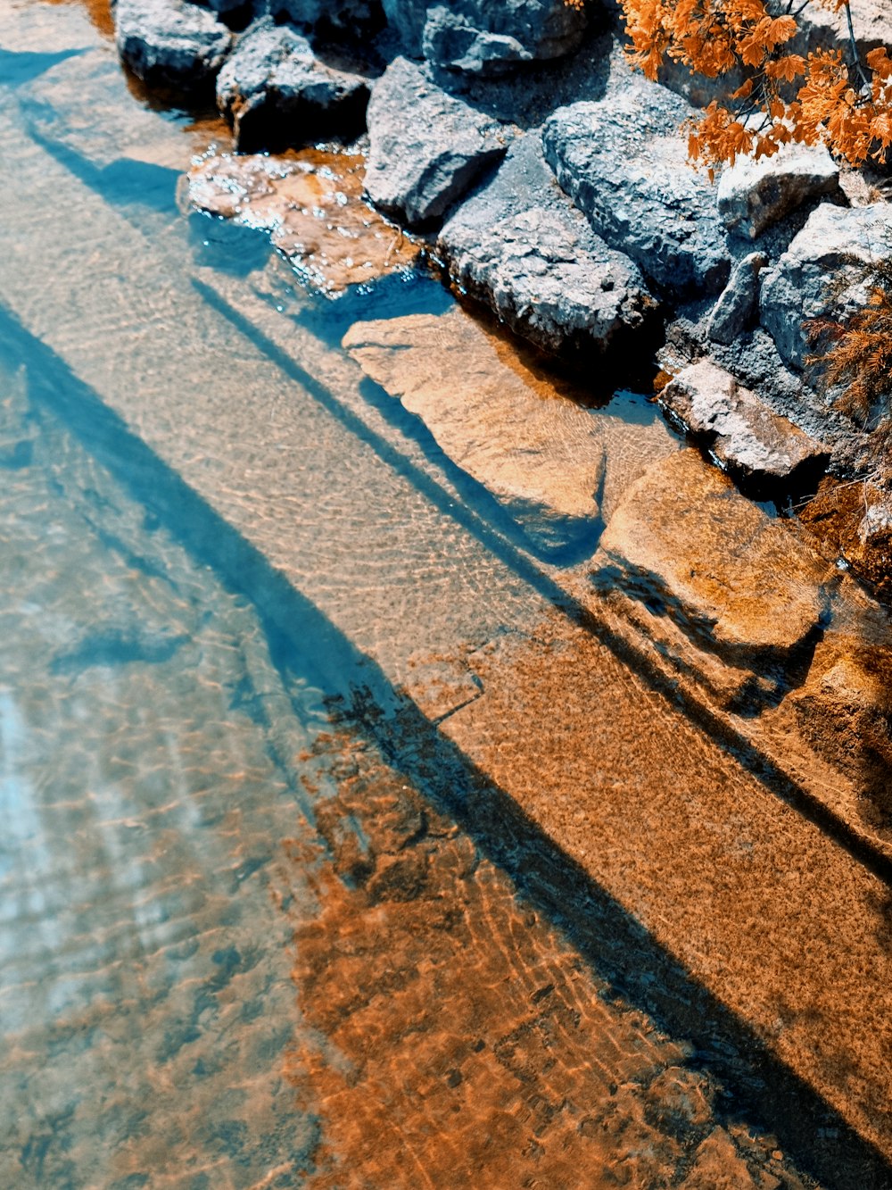 une paroi rocheuse à côté d’un plan d’eau