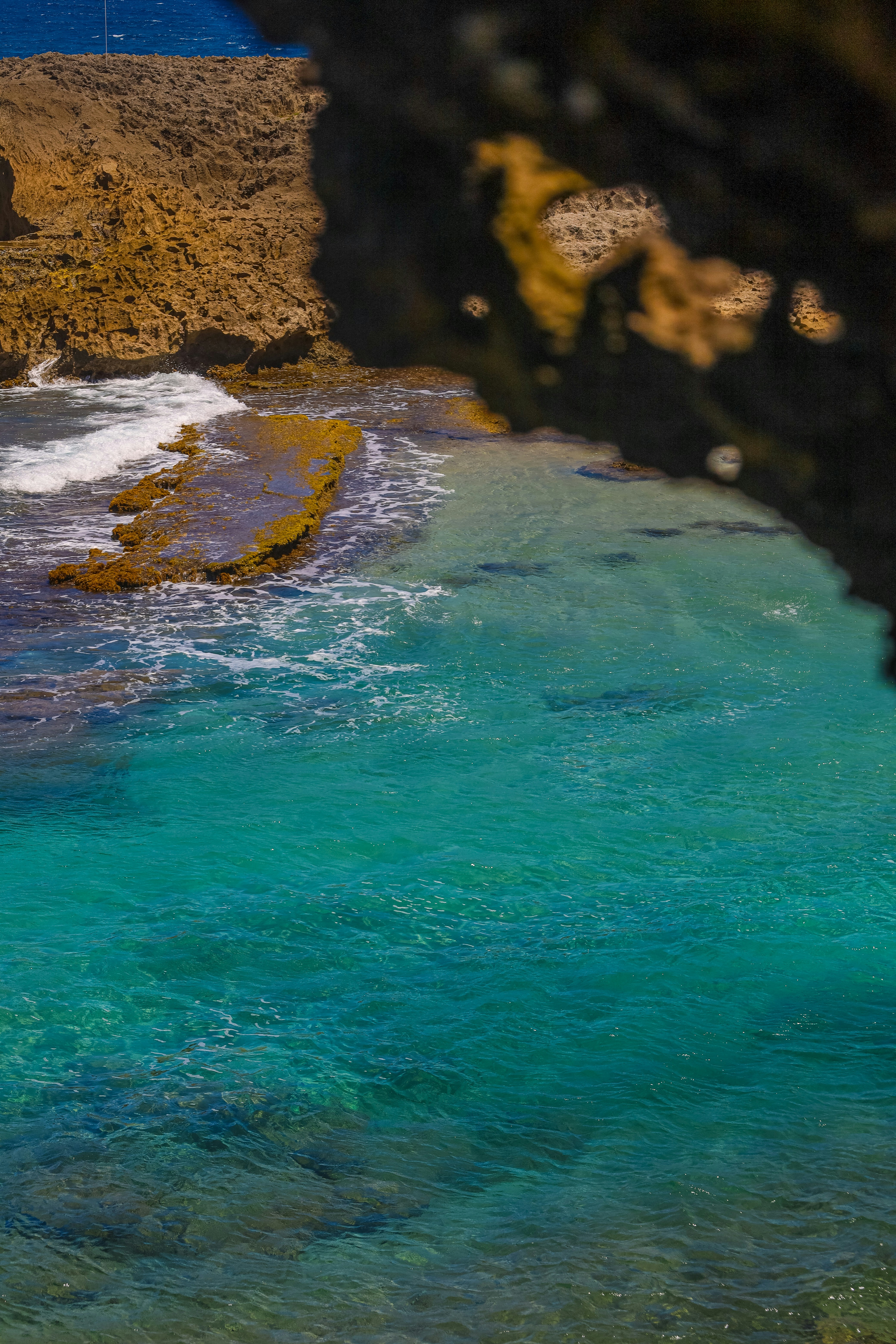 Photo by elojoboricua