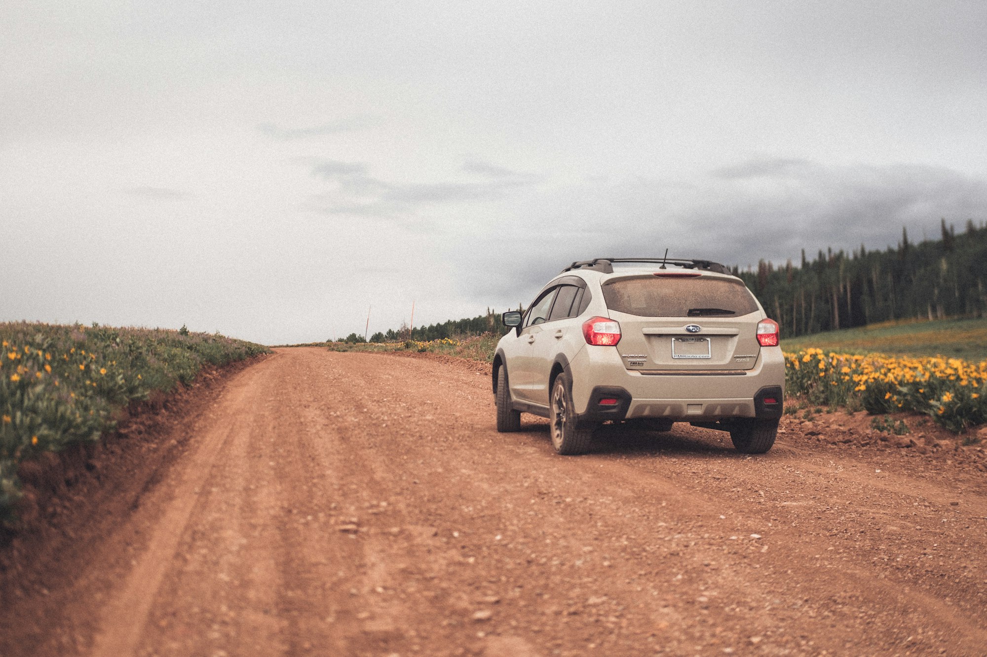 Subaru Snags Top Spot of Most-Seen Auto TV Ads