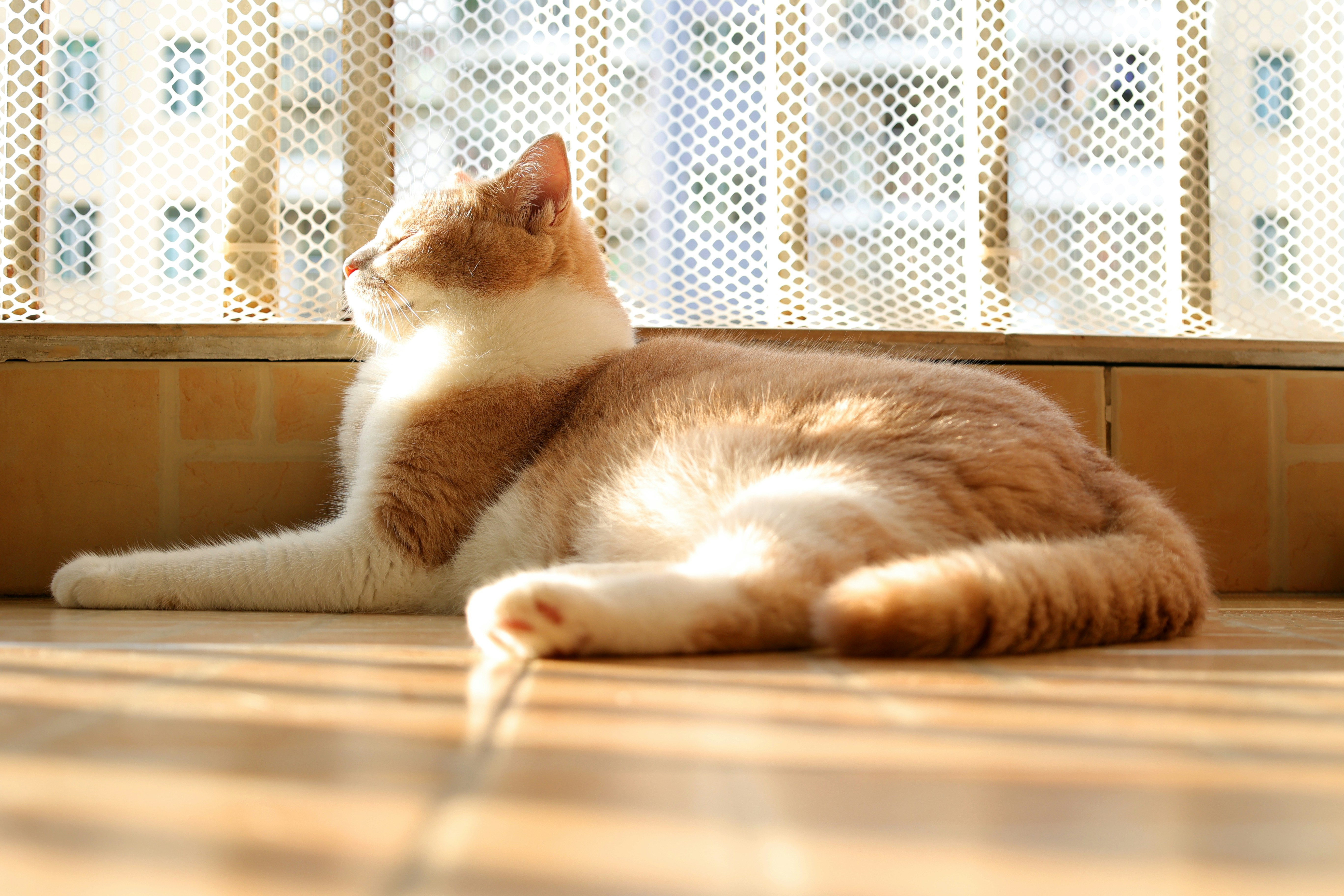 Photo by linkerdesign