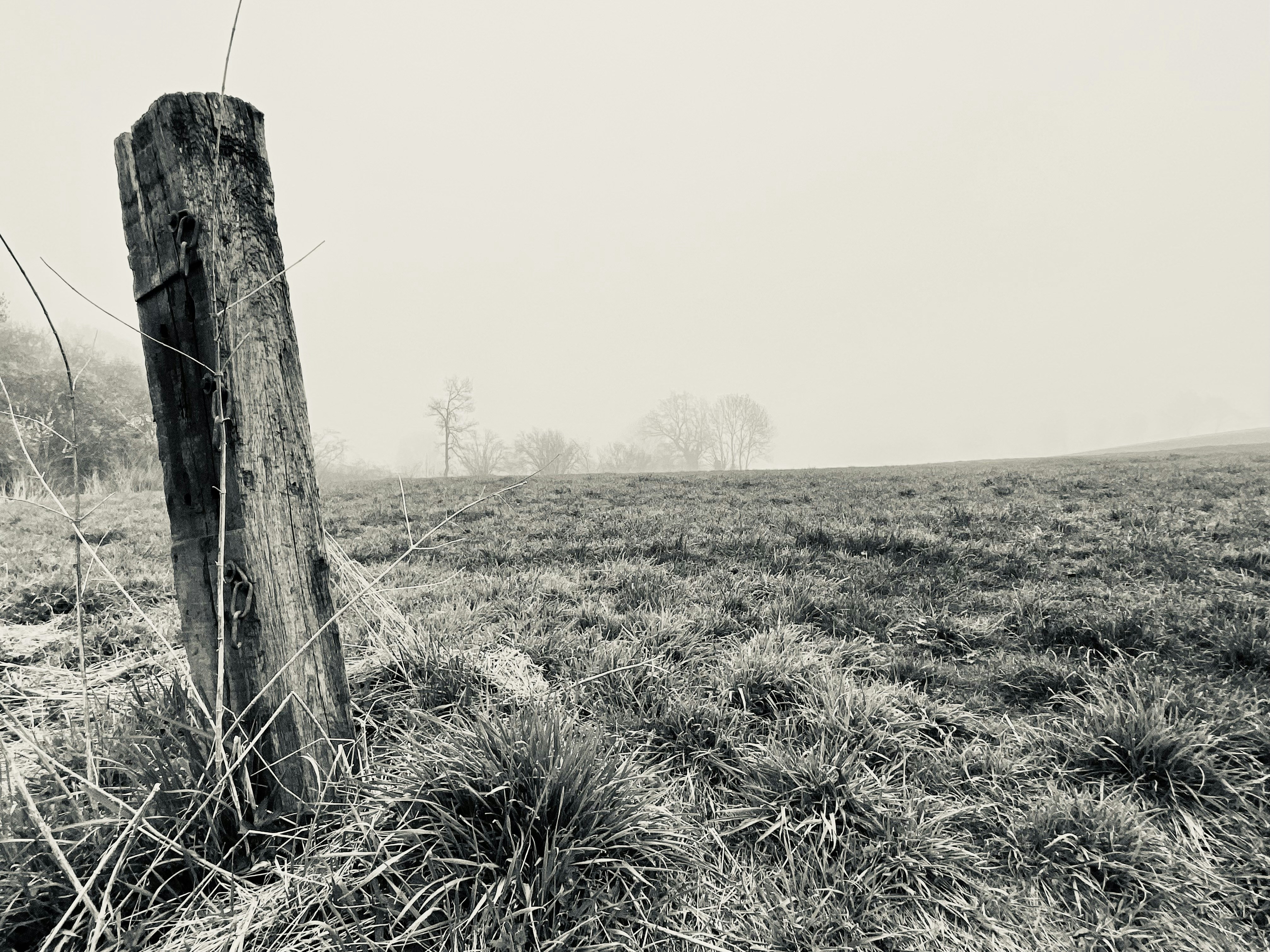 Afbeelding van Elkenrade