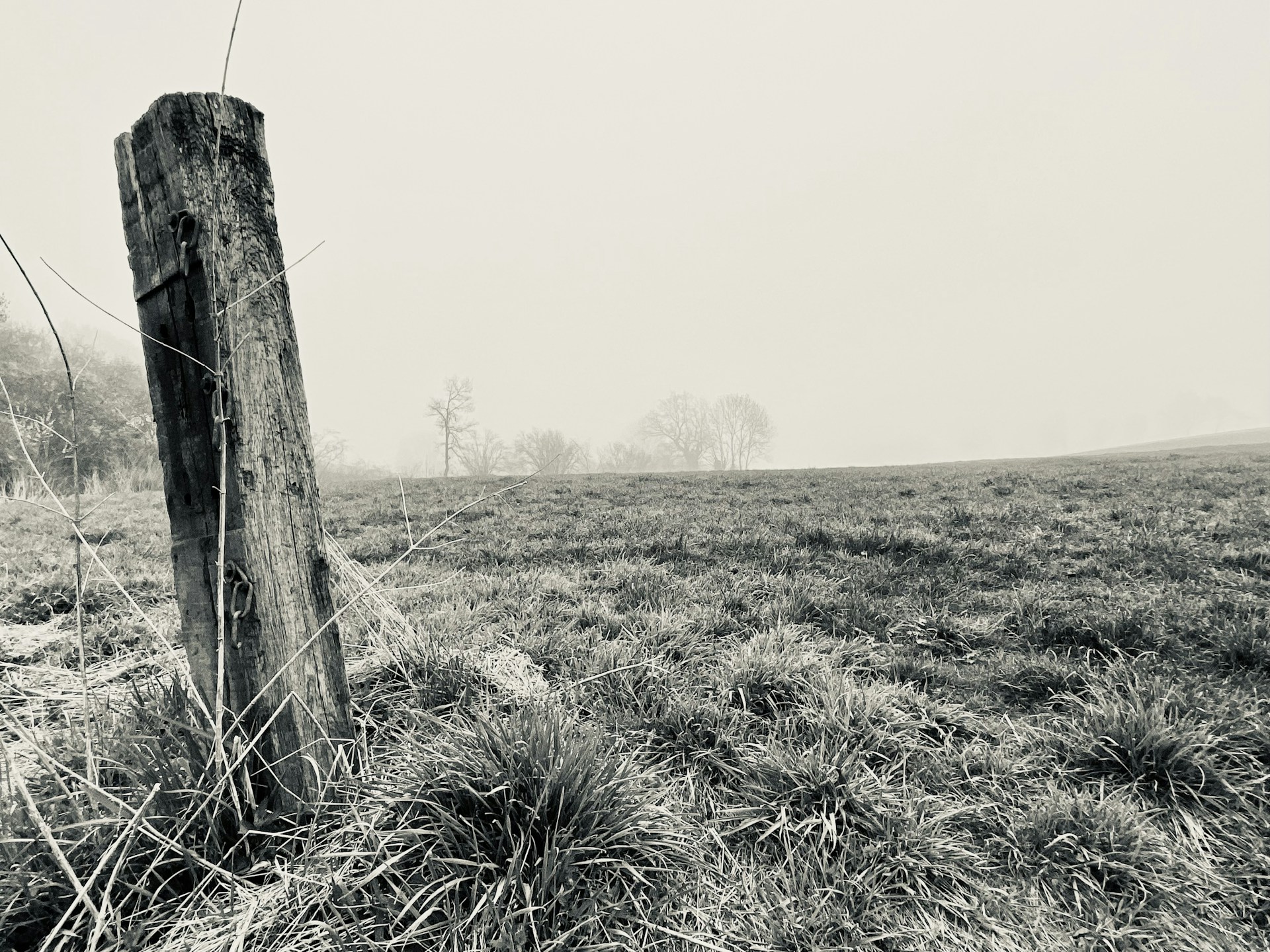 a black and white photo of a fence post in a field