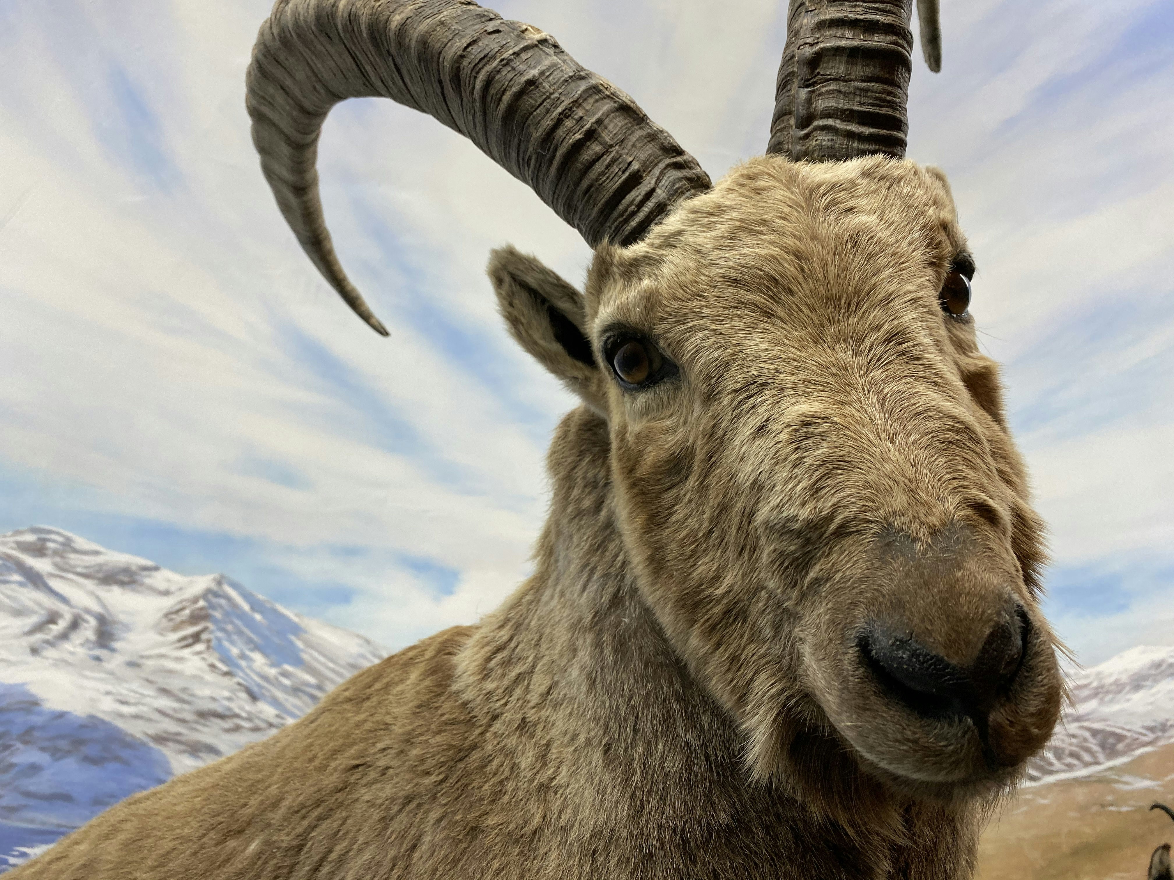 Photo by secrettravelguide