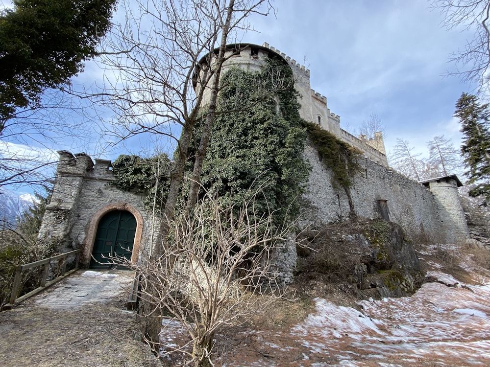 a stone building with vines growing up the side of it