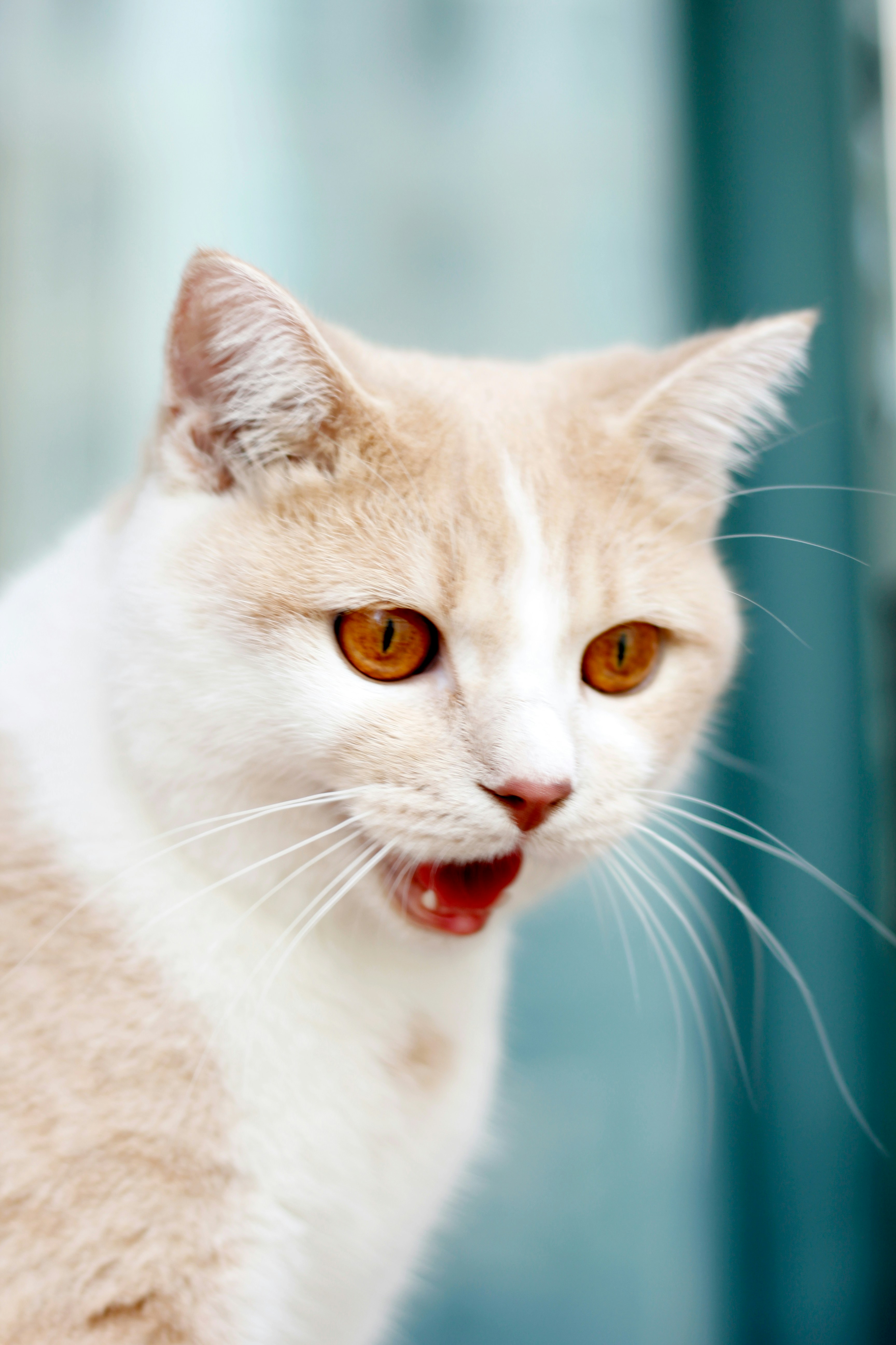 Photo by linkerdesign