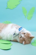 A cat is lying on its side on a light blue surface surrounded by green paper cutouts of leaves. It is holding and playfully biting a toy shaped like a fish, which is blue and white. The background is also light blue, giving a soothing and playful atmosphere.