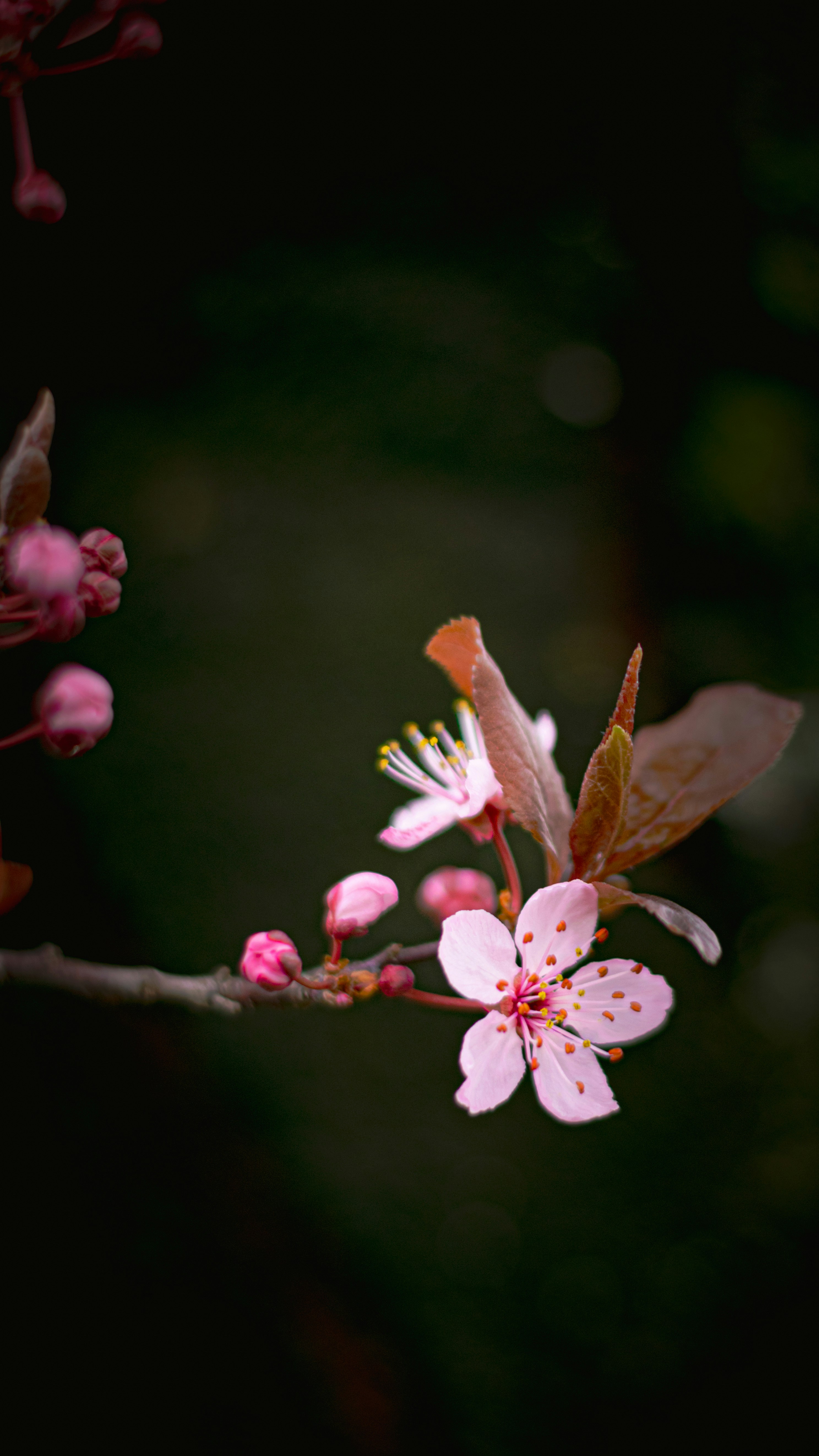 Photo by divyanksachdeva