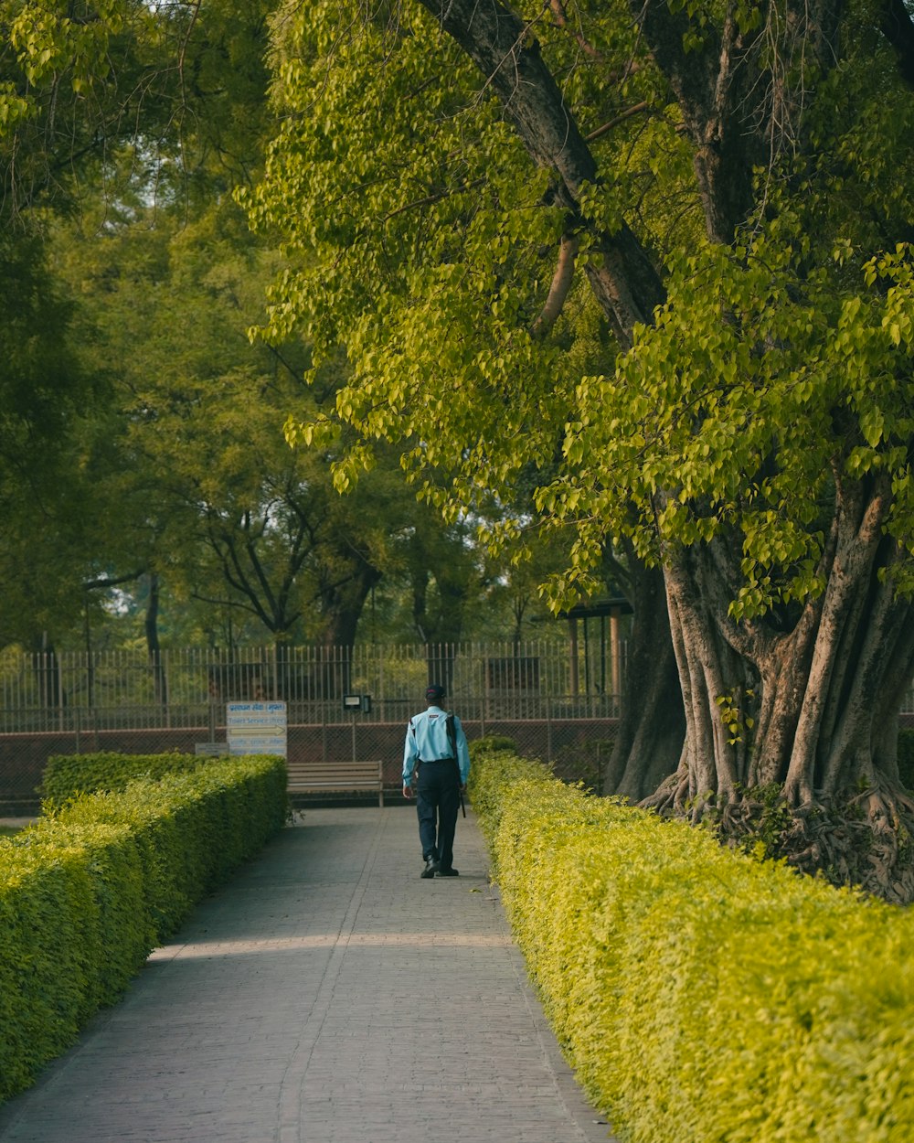 a person walking down a path in a park