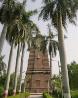 a monument surrounded by palm trees in a park