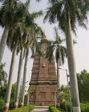a monument surrounded by palm trees in a park