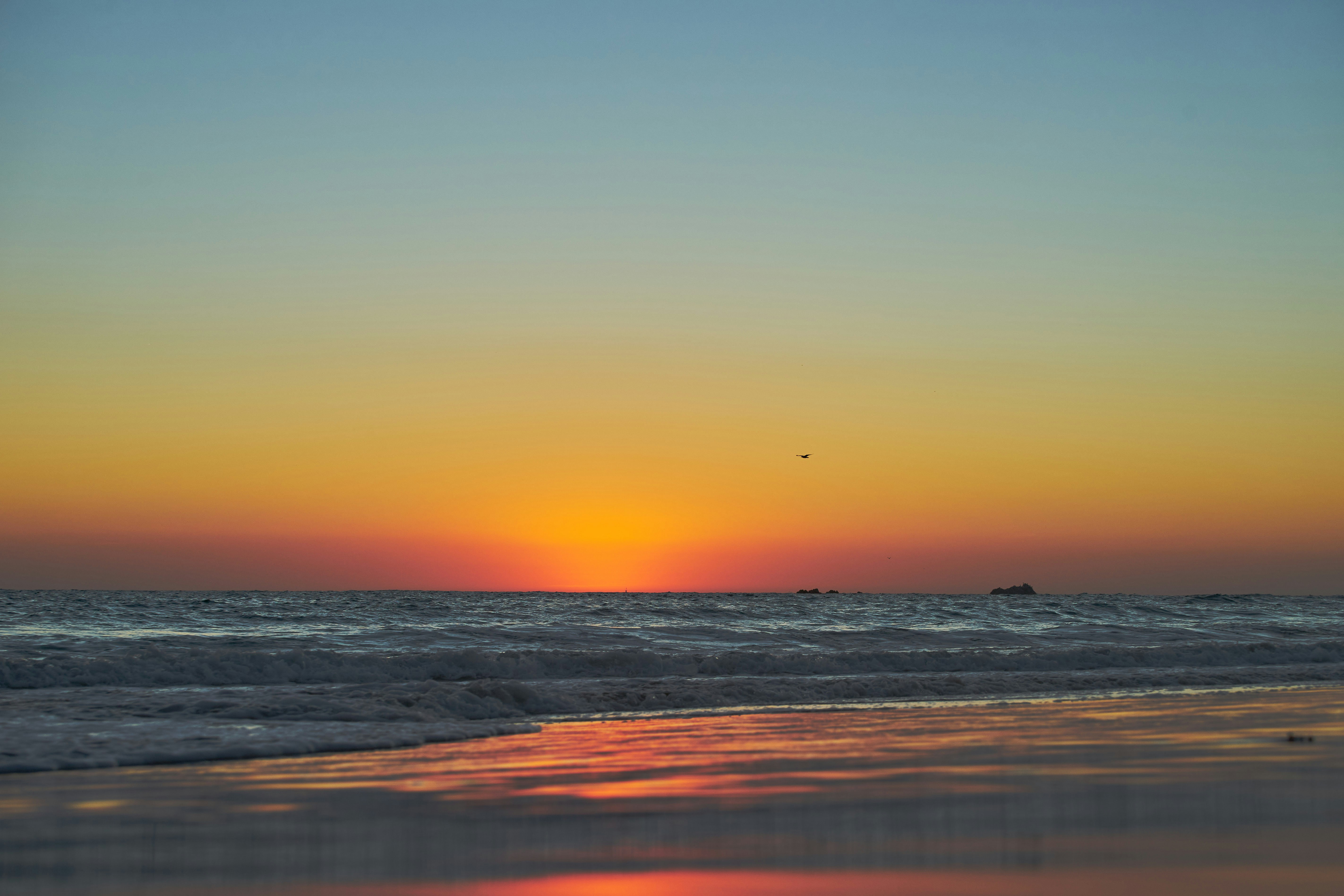 Photo by wolfgang_hasselmann