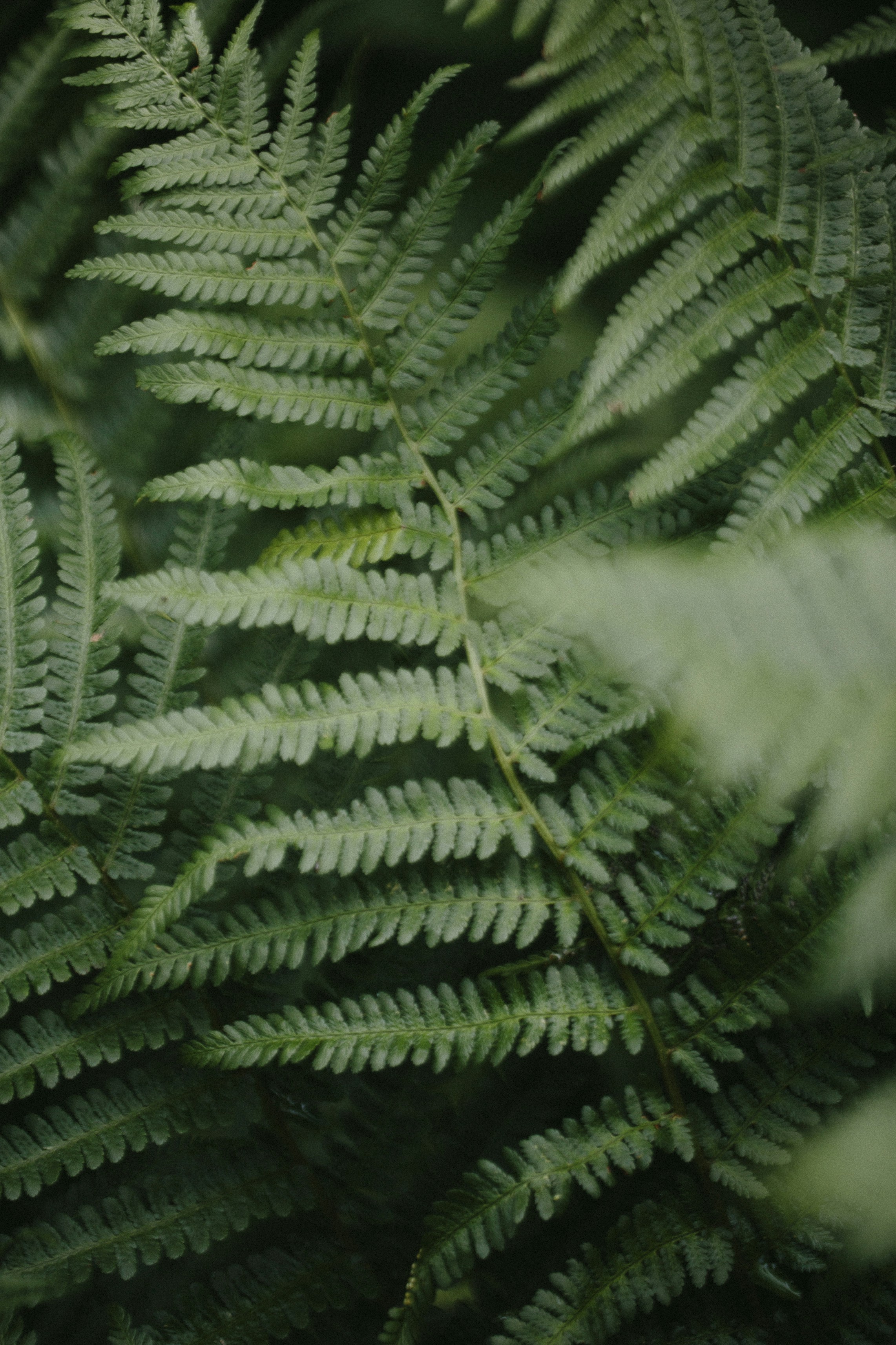 Photo by norph_visuals