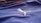 A close-up of a textured blue fabric with a white embroidered logo of a leaping animal, likely representing a brand. The fabric appears to be part of a sports jersey, with fine linear stitching visible.