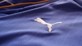 A close-up of a textured blue fabric with a white embroidered logo of a leaping animal, likely representing a brand. The fabric appears to be part of a sports jersey, with fine linear stitching visible.