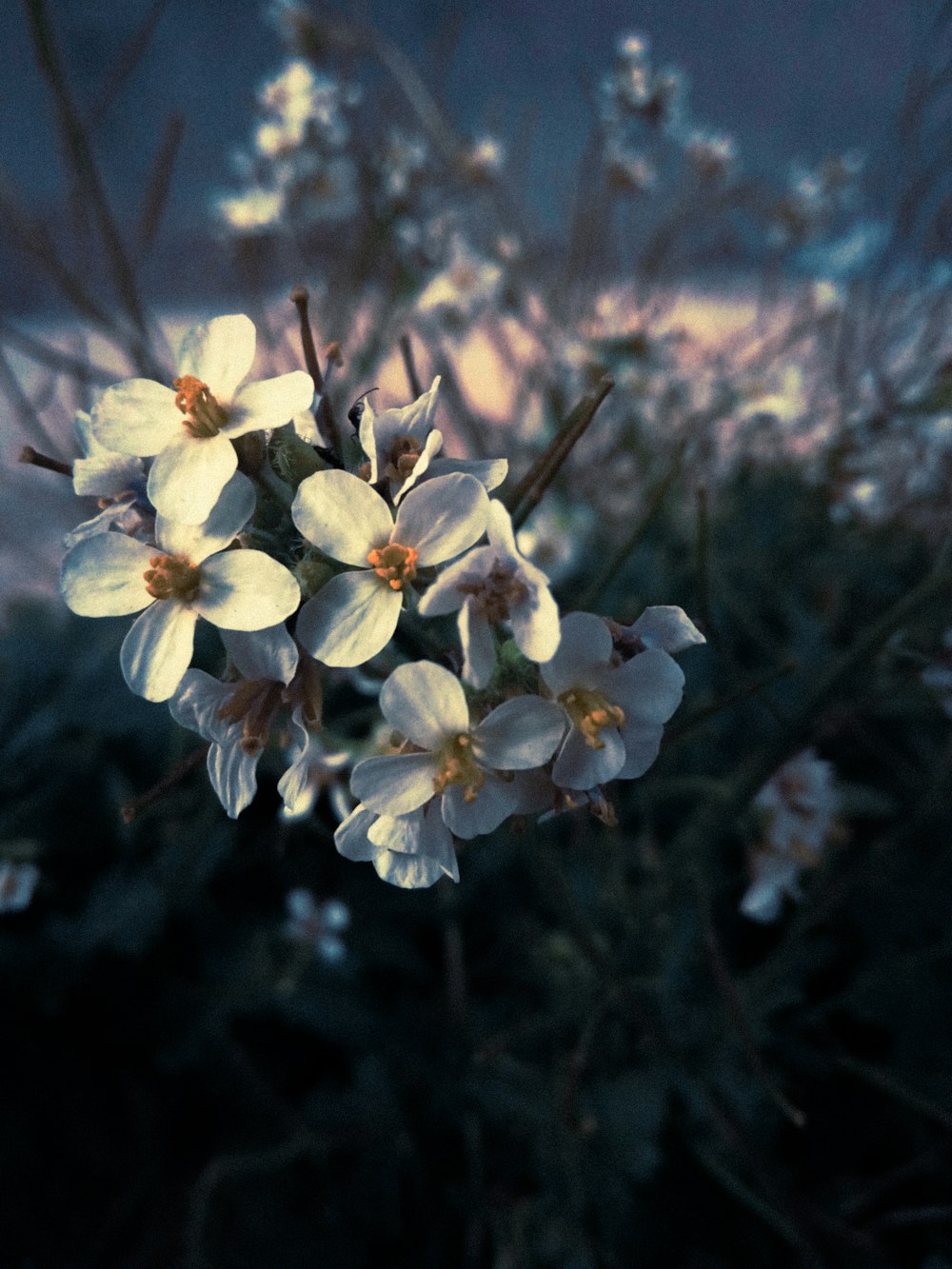 Un ramo de flores blancas sentado en la parte superior de un exuberante campo verde