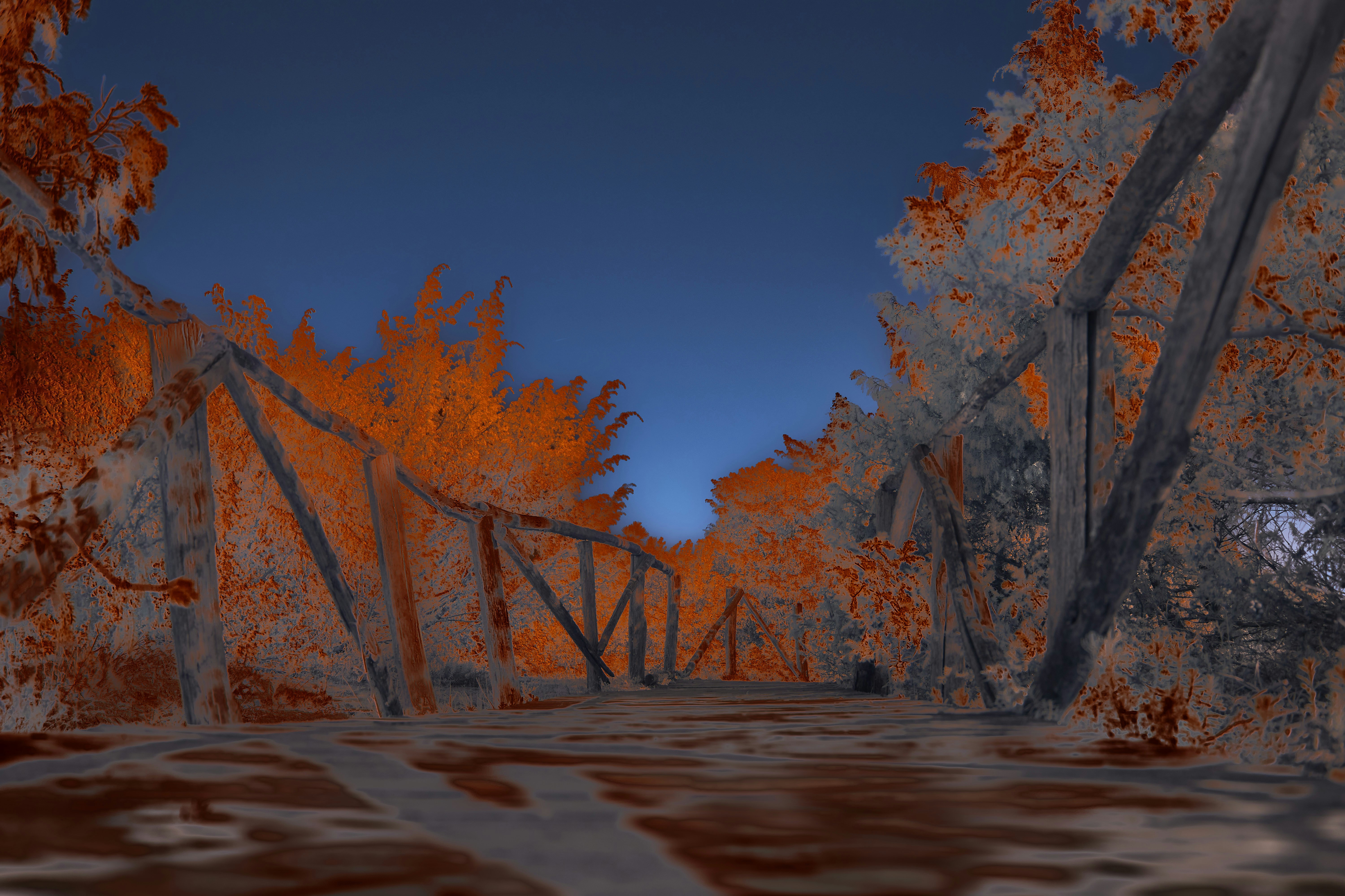 Photo by wolfgang_hasselmann