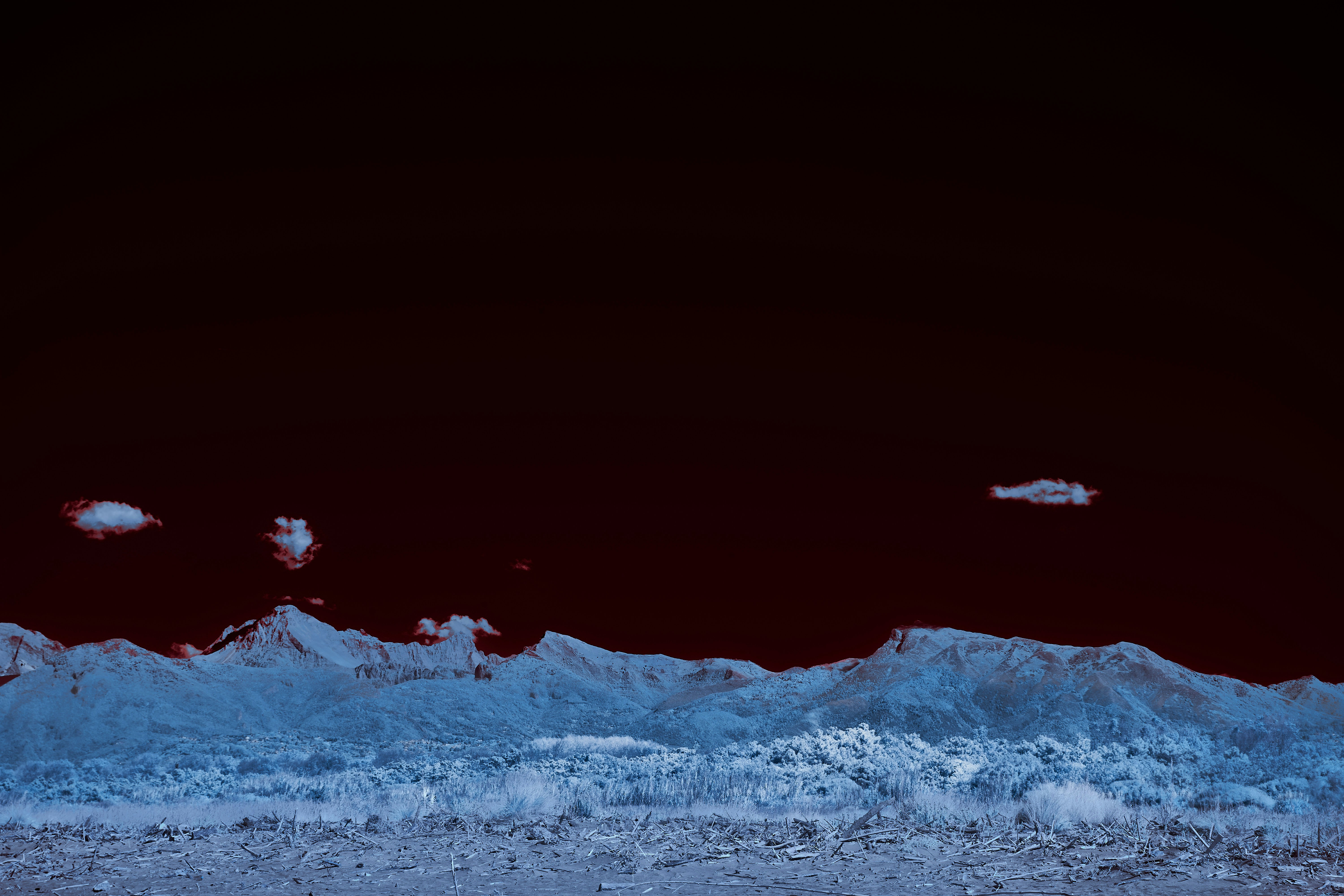 Photo by wolfgang_hasselmann