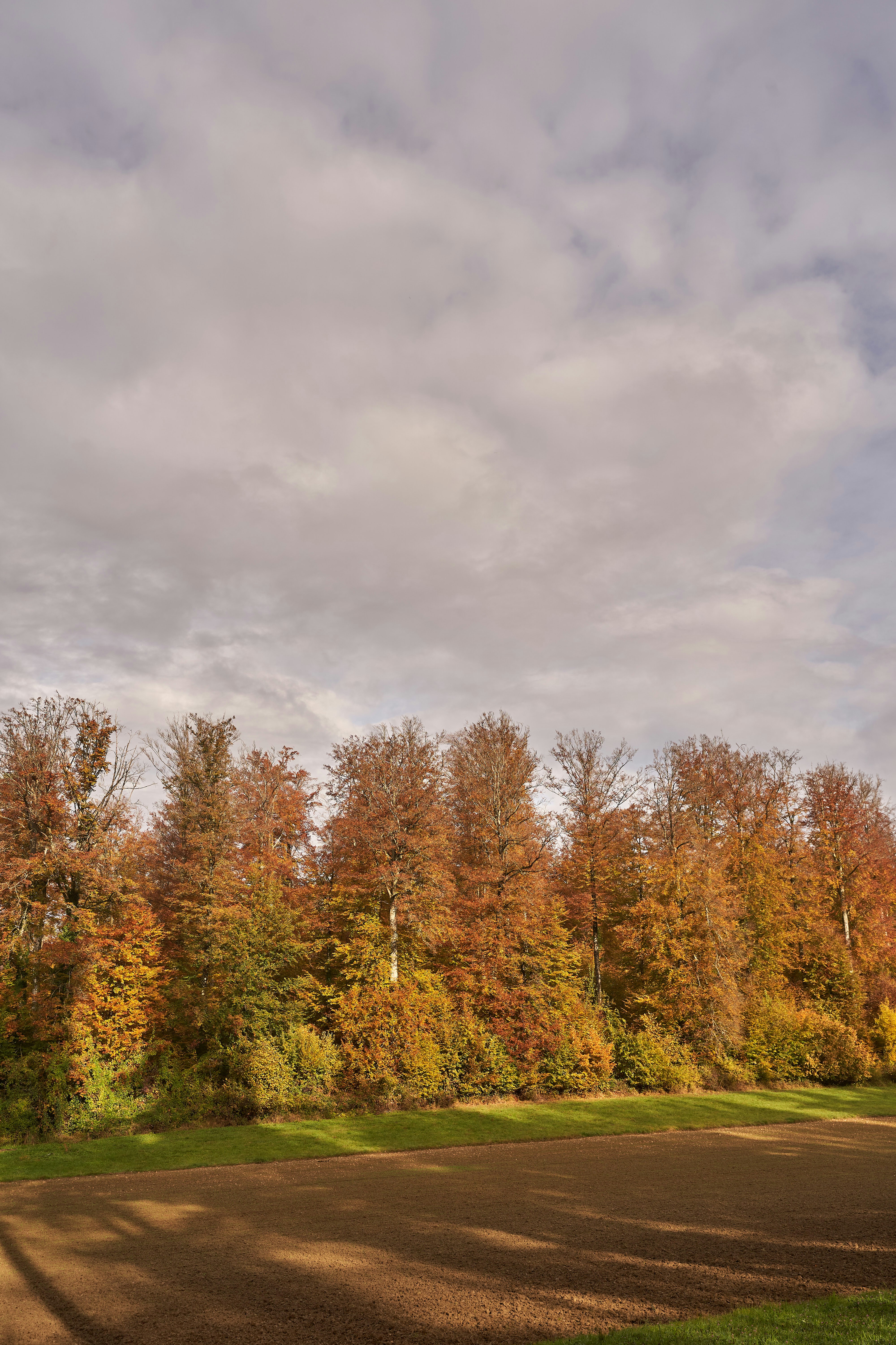 Photo by wolfgang_hasselmann