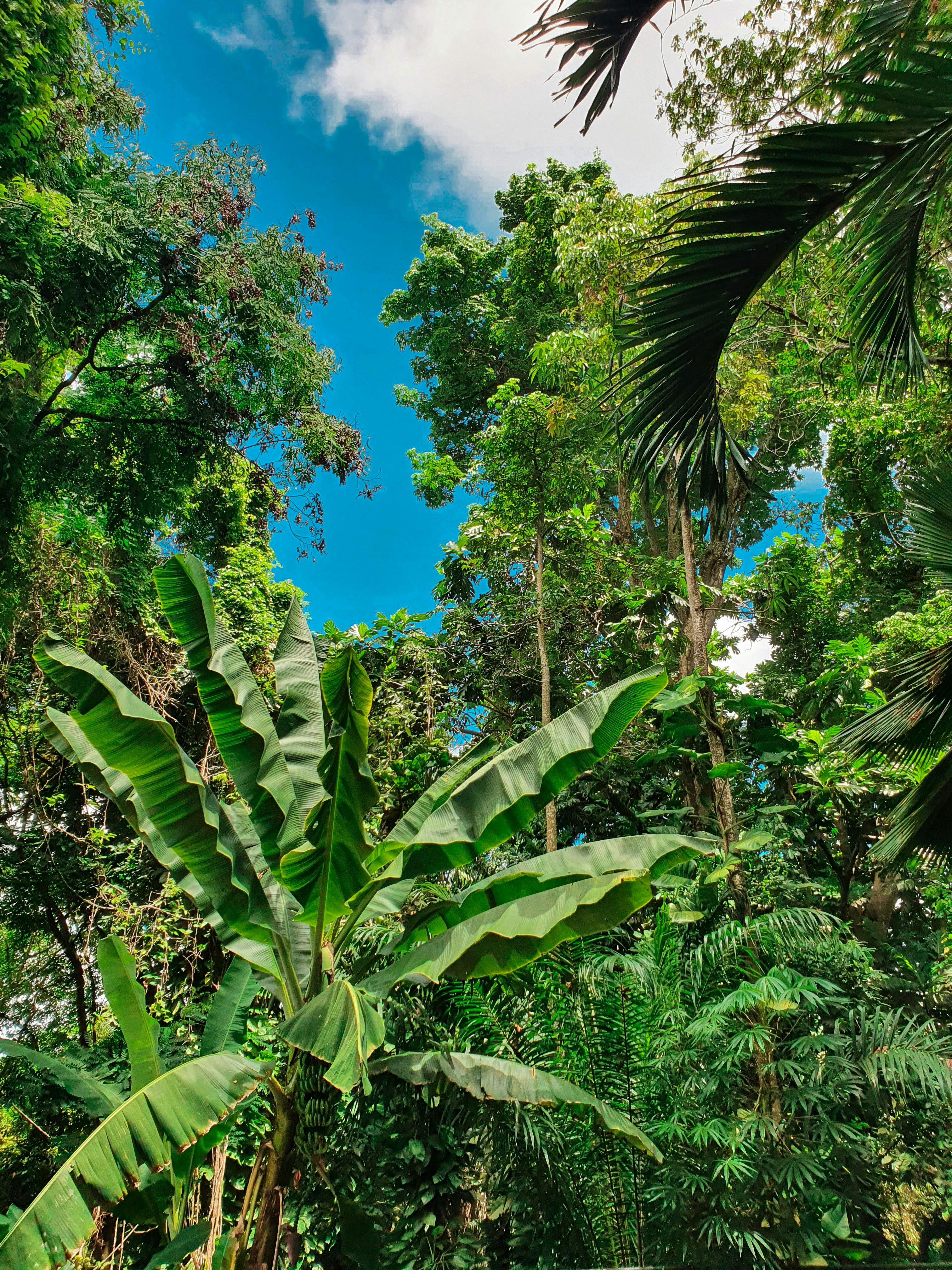 Photo by pedro_henrique