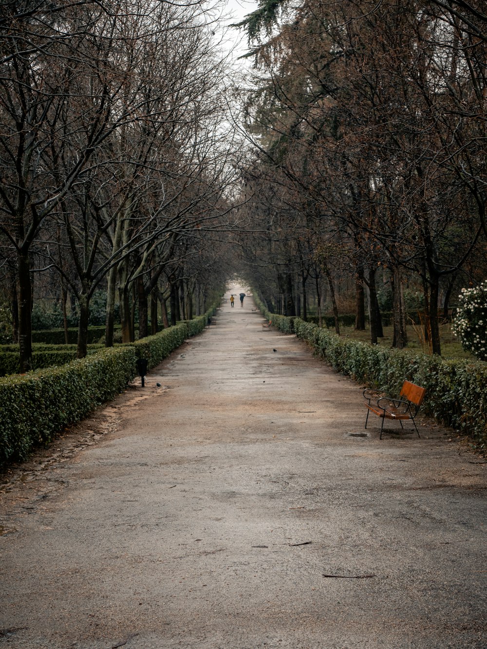 an empty road with a bench in the middle of it