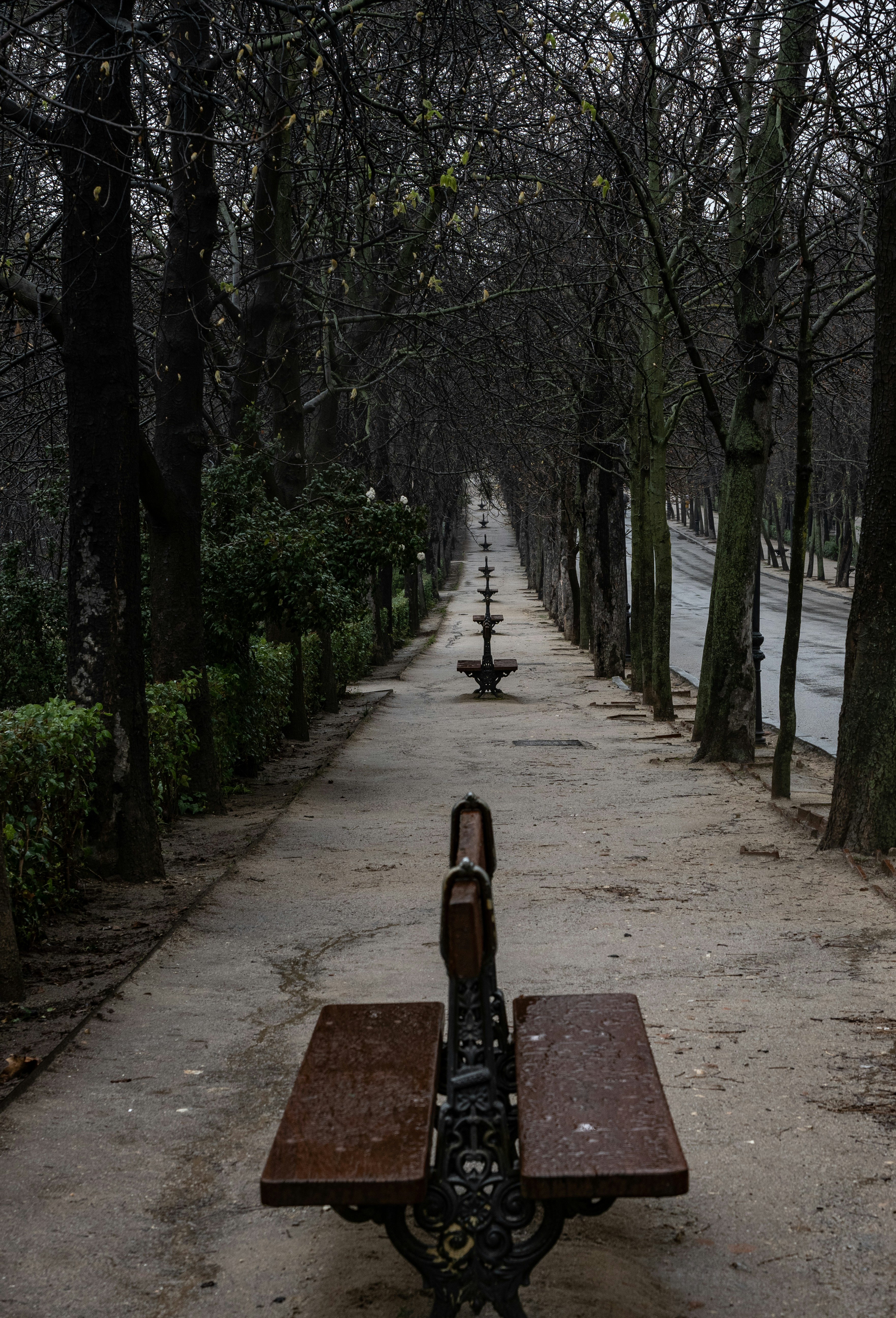 a bench sitting in the middle of a park