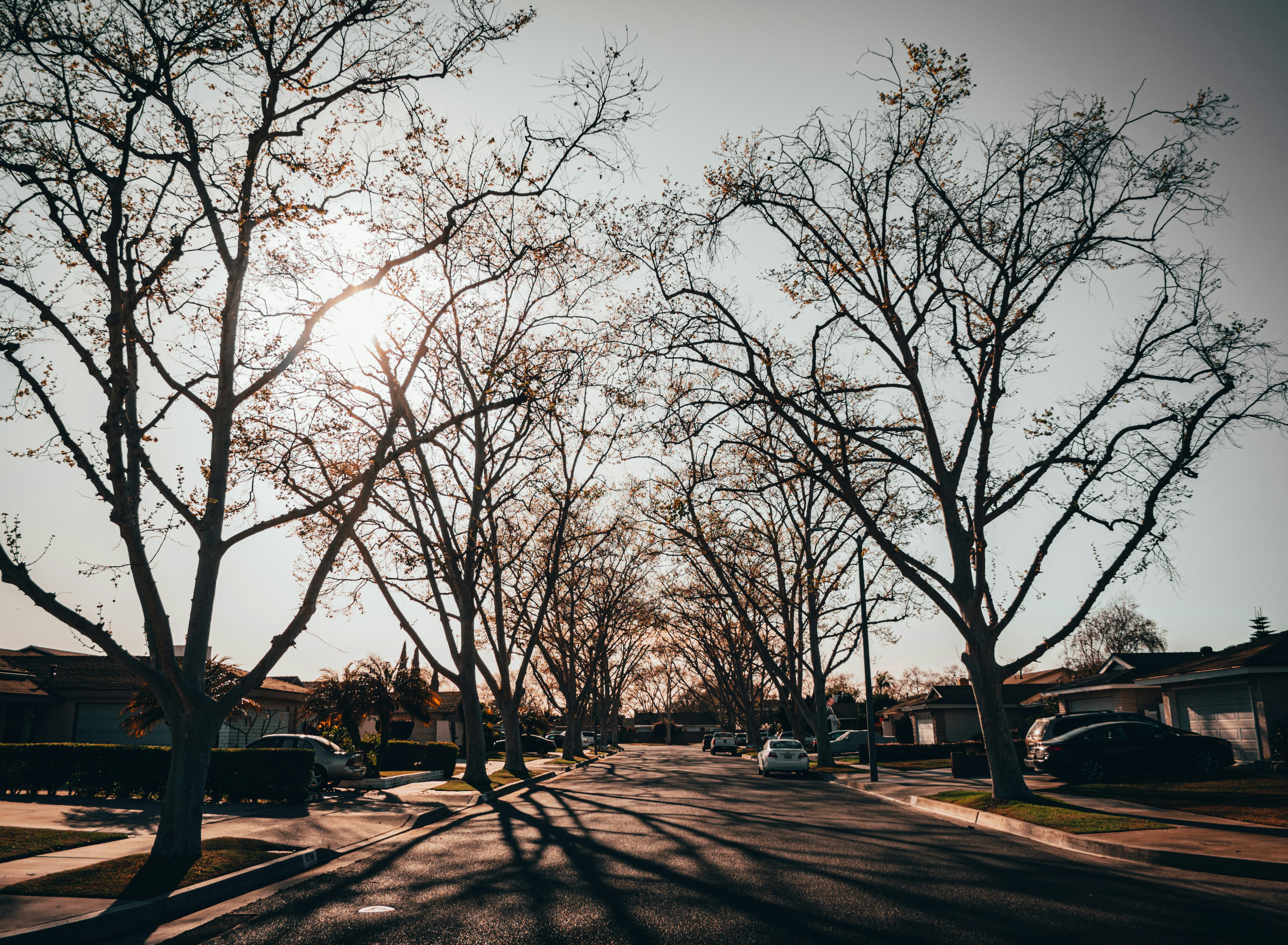 Photo by kingkonggeorge