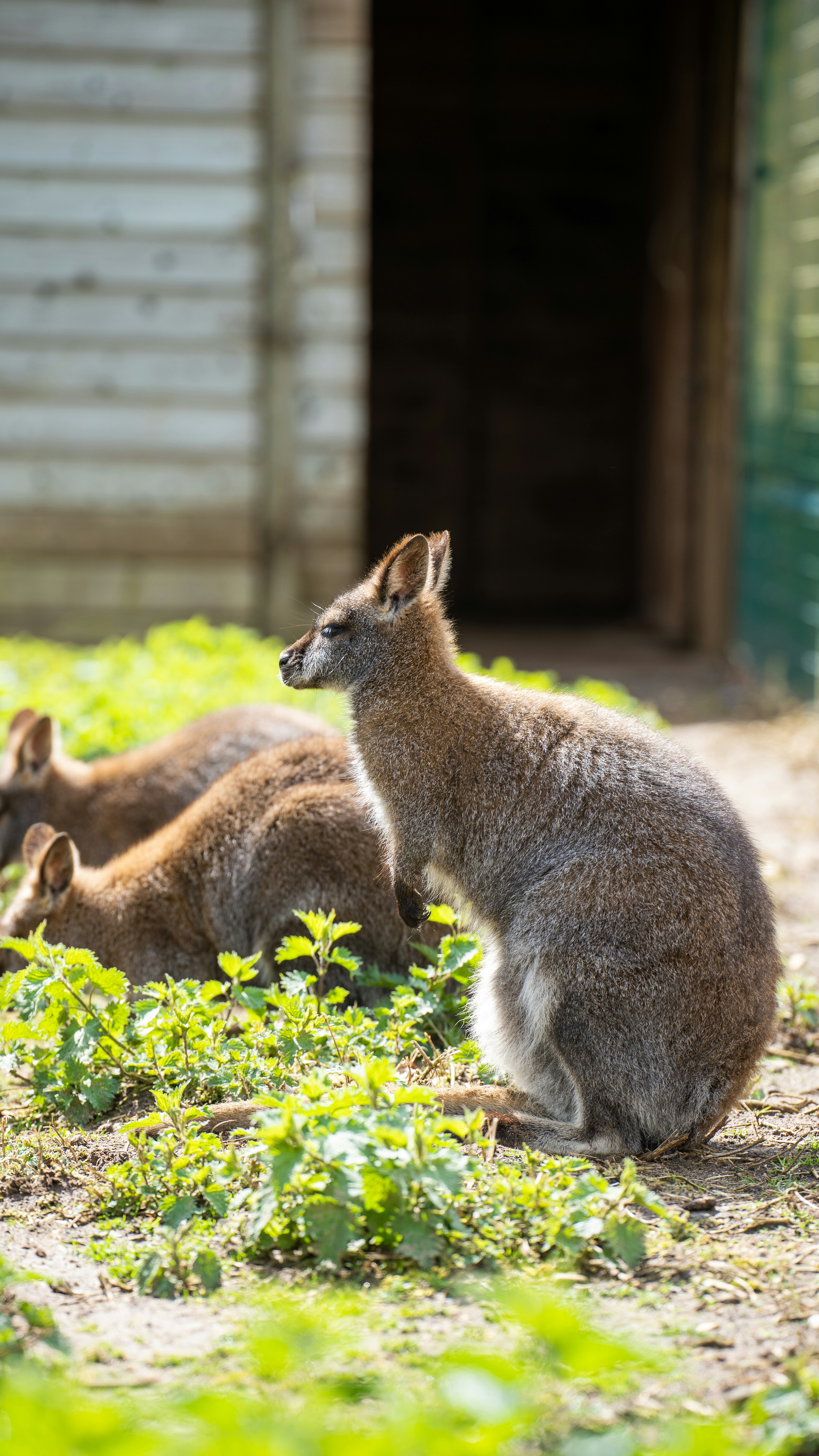 Photo by jacques_dillies