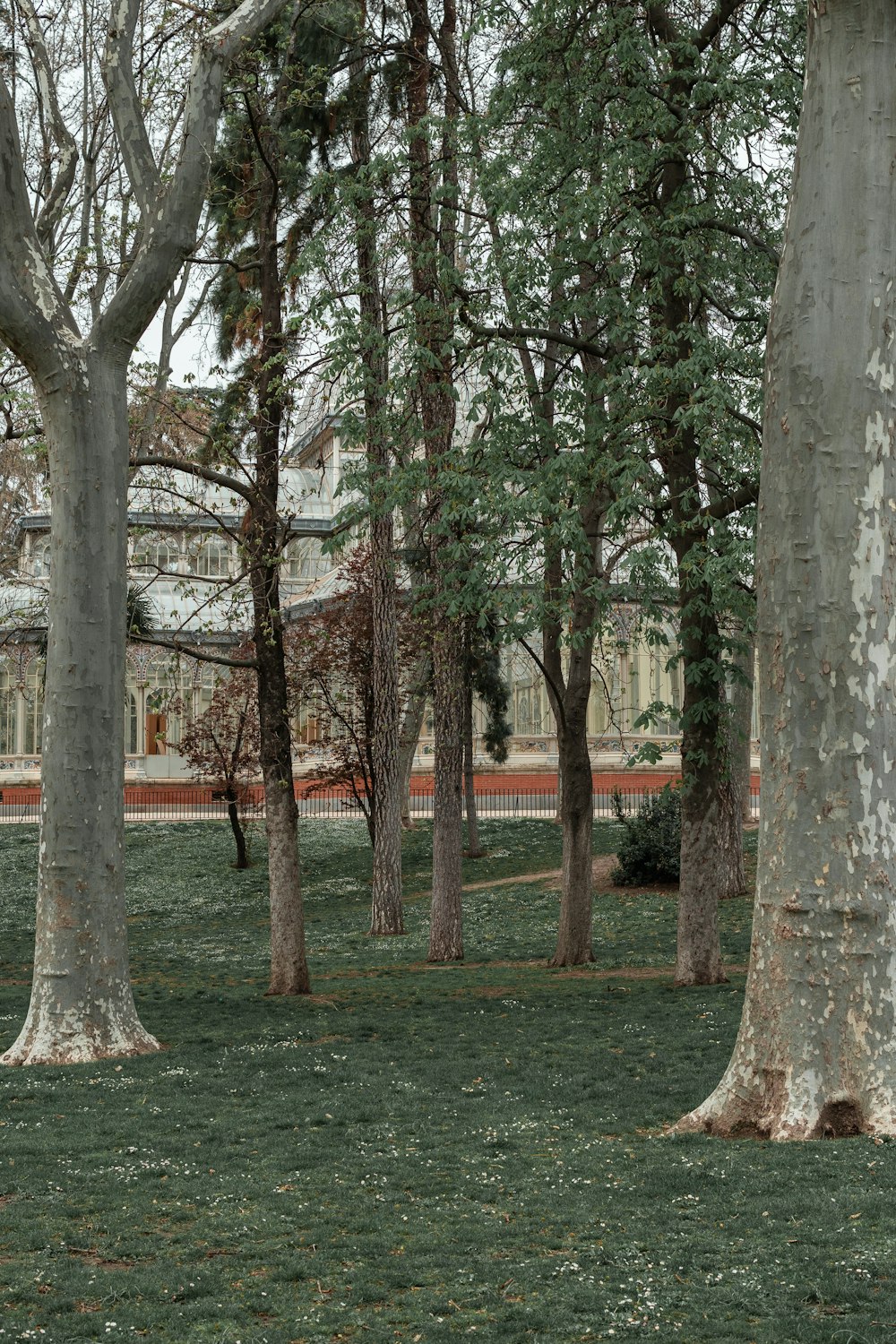 a person sitting on a bench in a park